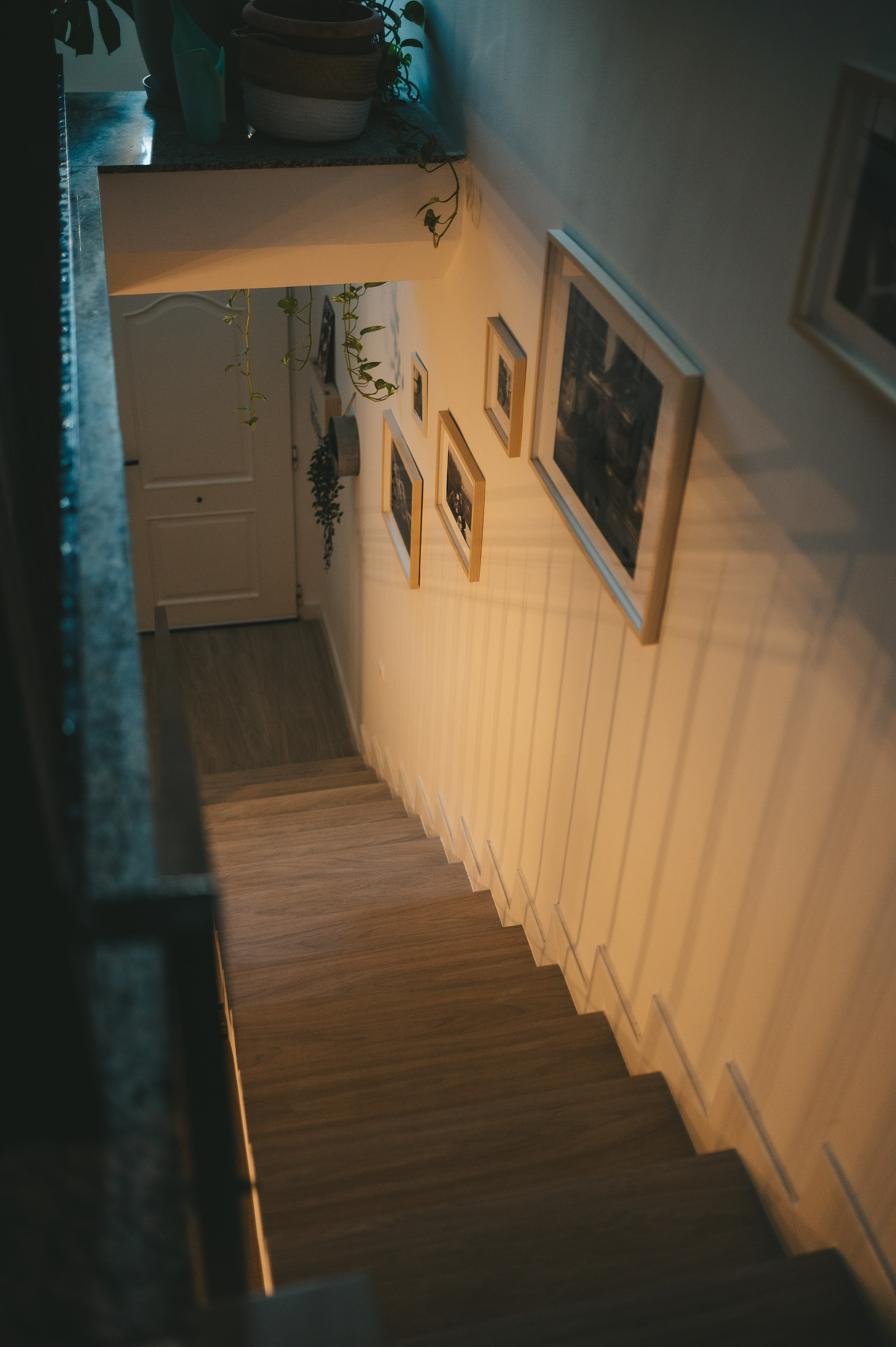 Adrián, Ruth, Natura & Ares. Тетяна Малишева - сімейний фотограф і відеограф у Валенсії, Іспанія