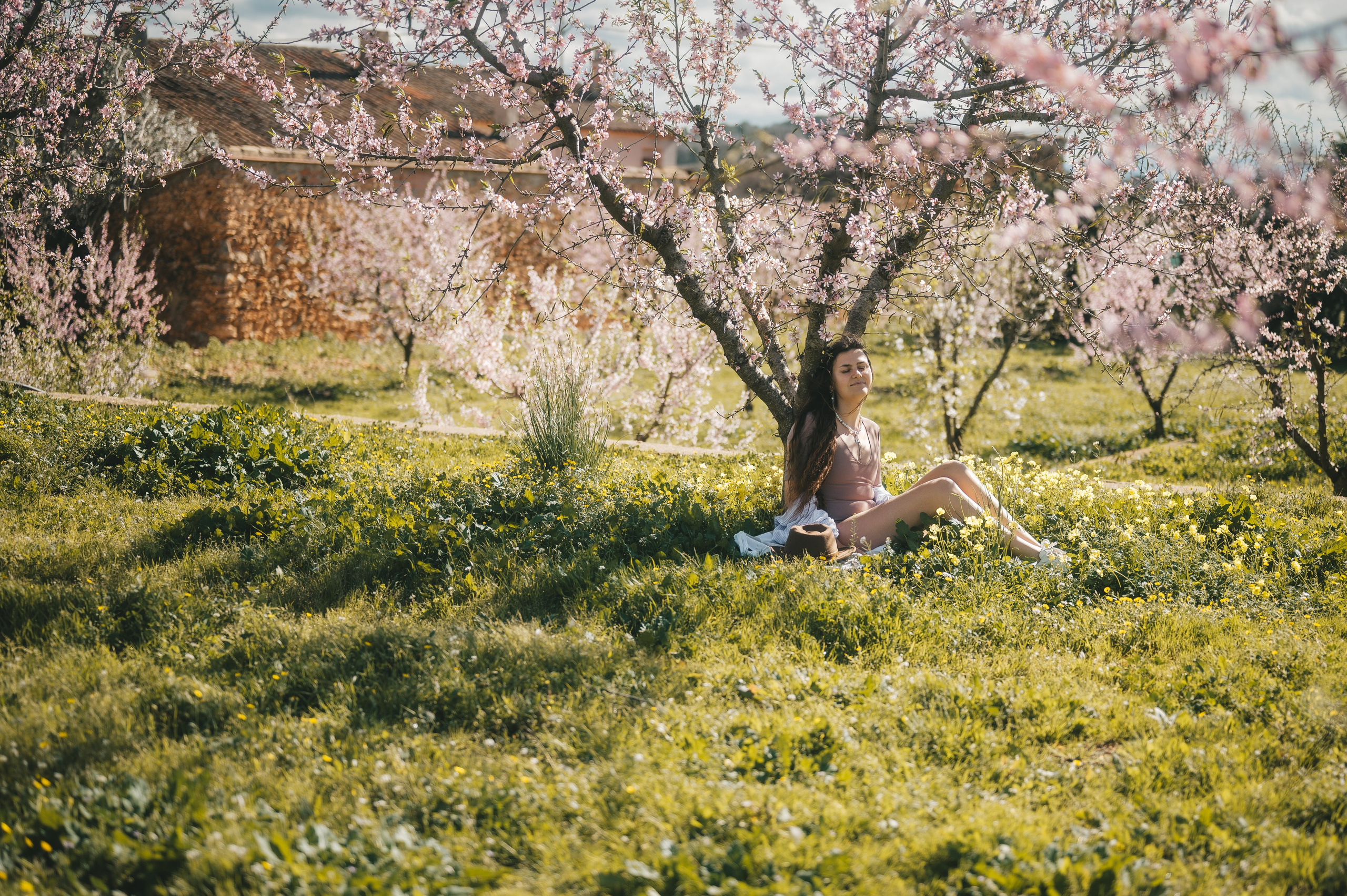 Almond blossom. Тетяна Малишева - сімейний фотограф і відеограф у Валенсії, Іспанія