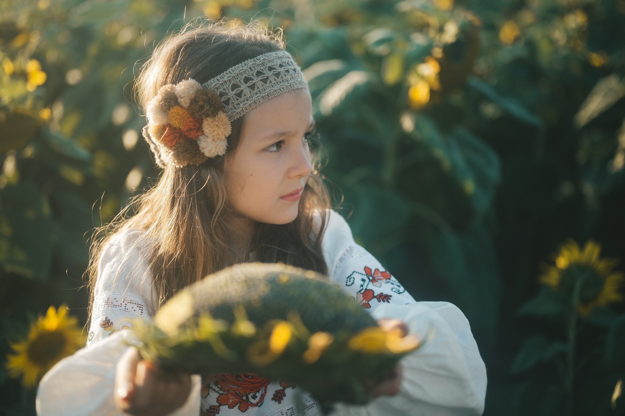 Sunflower field. Татьяна Малышева — семейный фотограф и видеограф в Валенсии, Испания