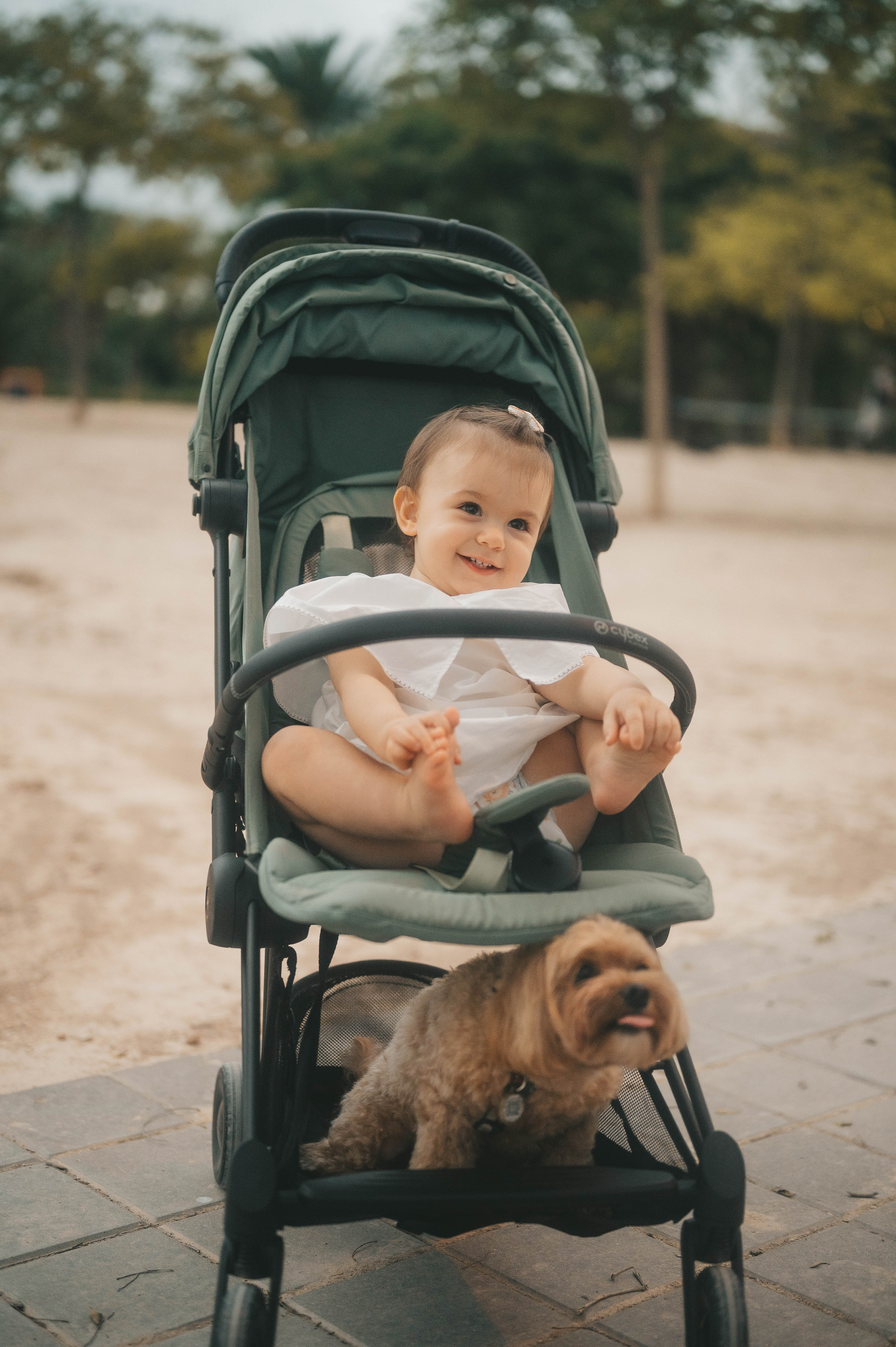 Sofia's 1st Birthday!. Тетяна Малишева - сімейний фотограф і відеограф у Валенсії, Іспанія