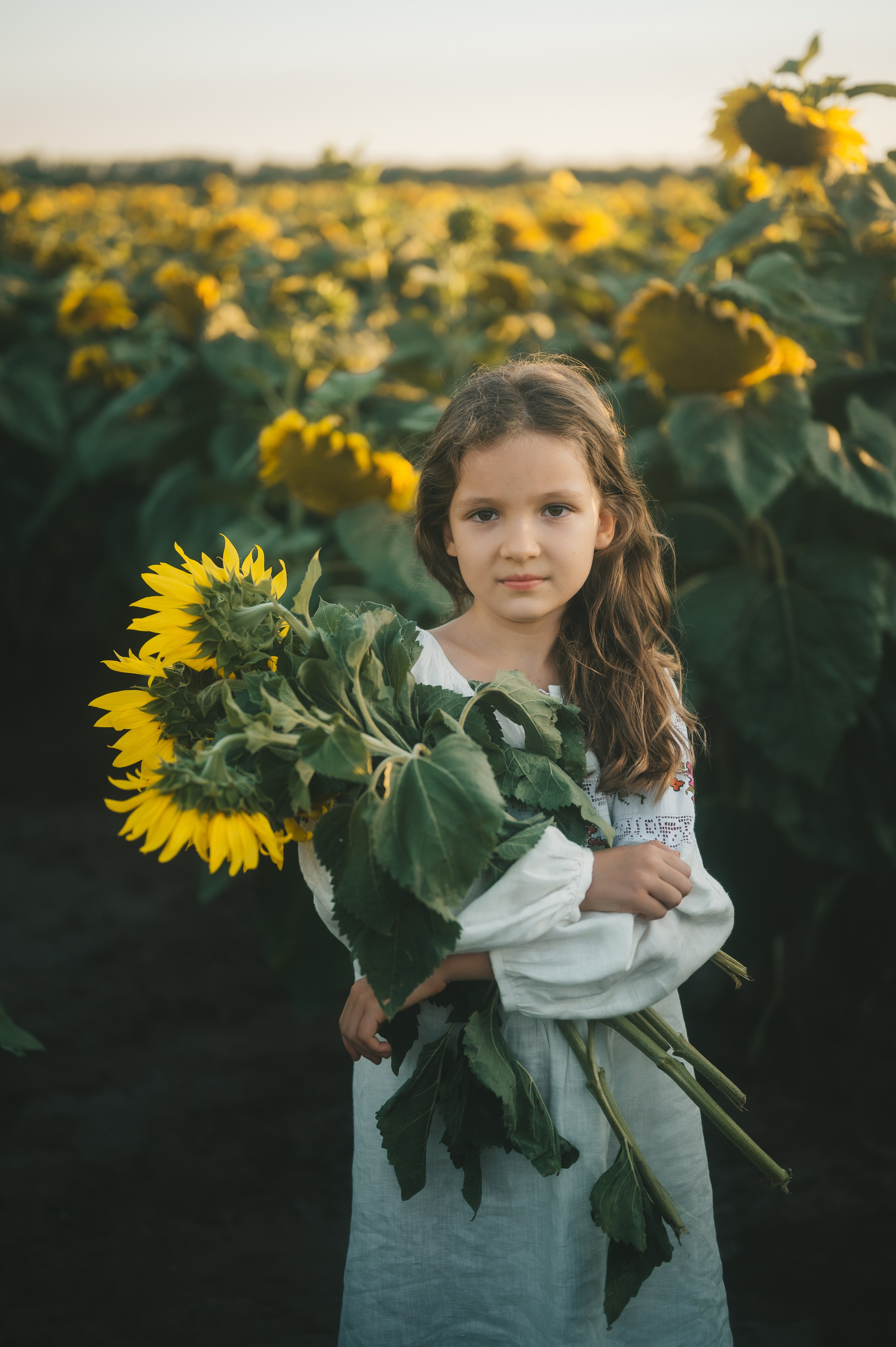 Sunflower field. Татьяна Малышева — семейный фотограф и видеограф в Валенсии, Испания