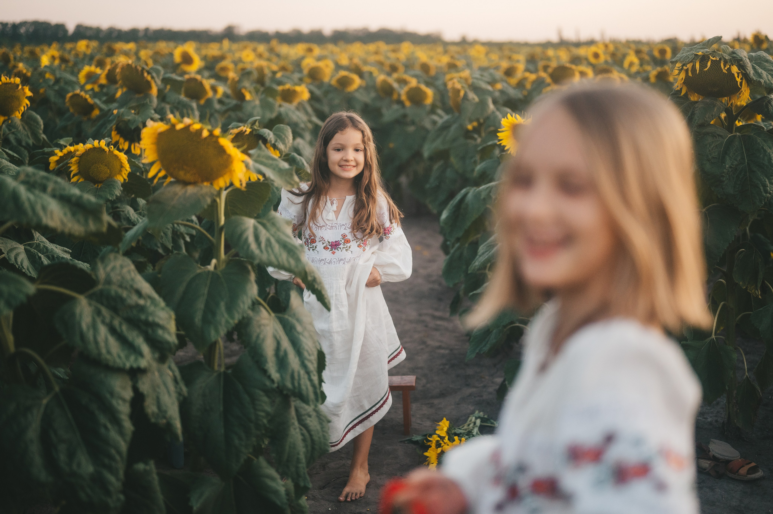 Sunflower field. Татьяна Малышева — семейный фотограф и видеограф в Валенсии, Испания