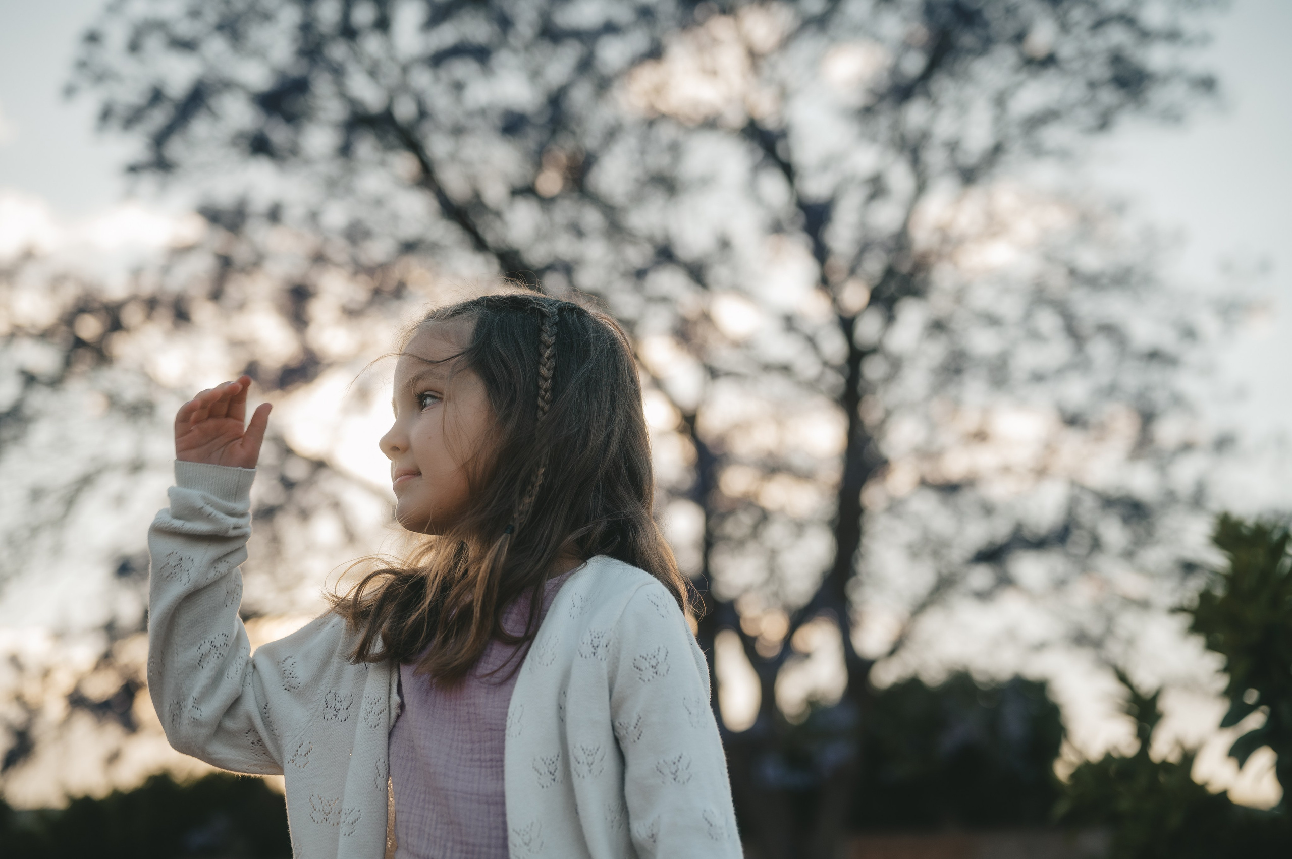 Jacaranda flowers. Tatiana Malysheva — family photographer and videographer in Valencia, Spain