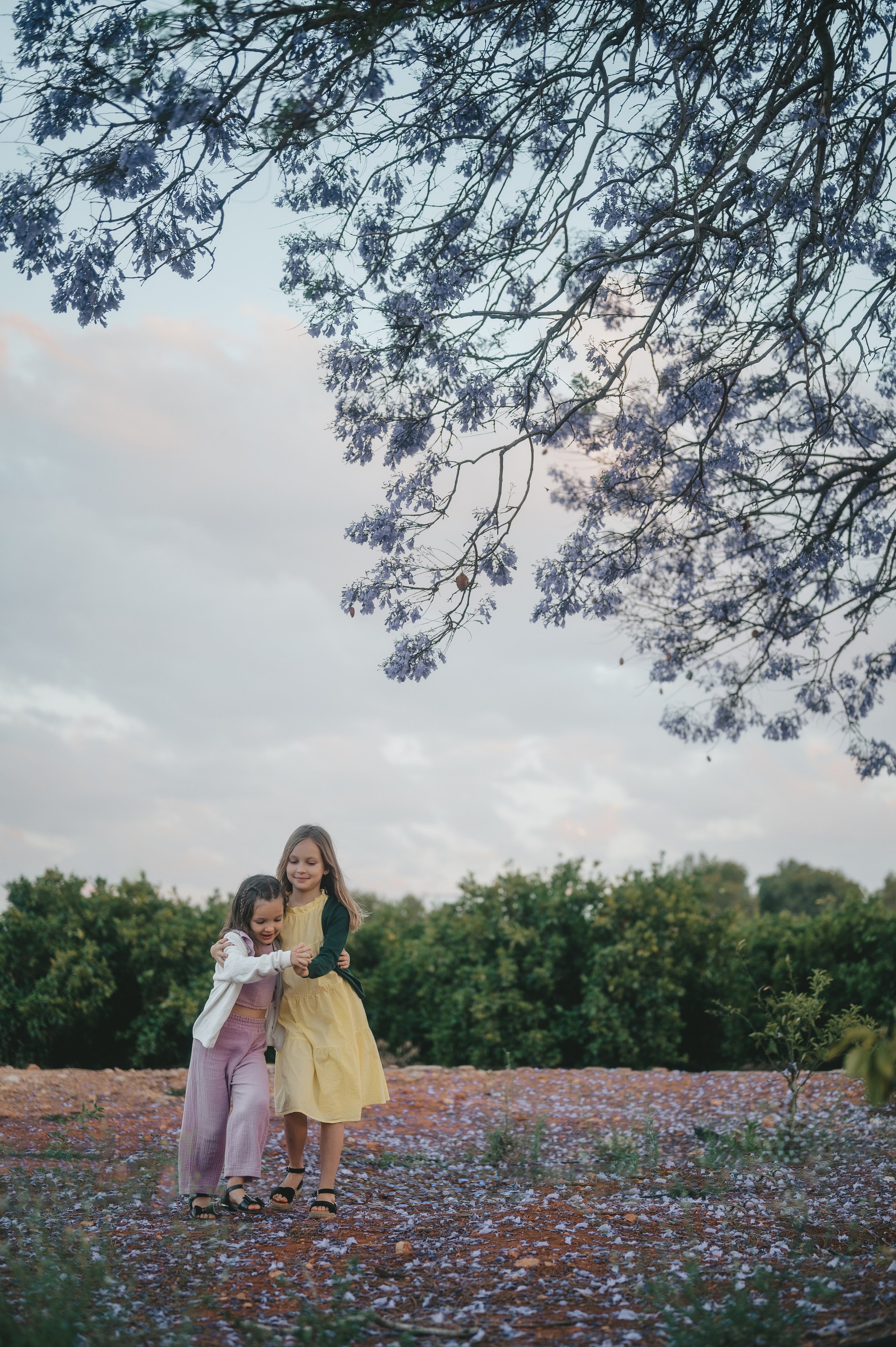 Jacaranda flowers. Tatiana Malysheva — family photographer and videographer in Valencia, Spain