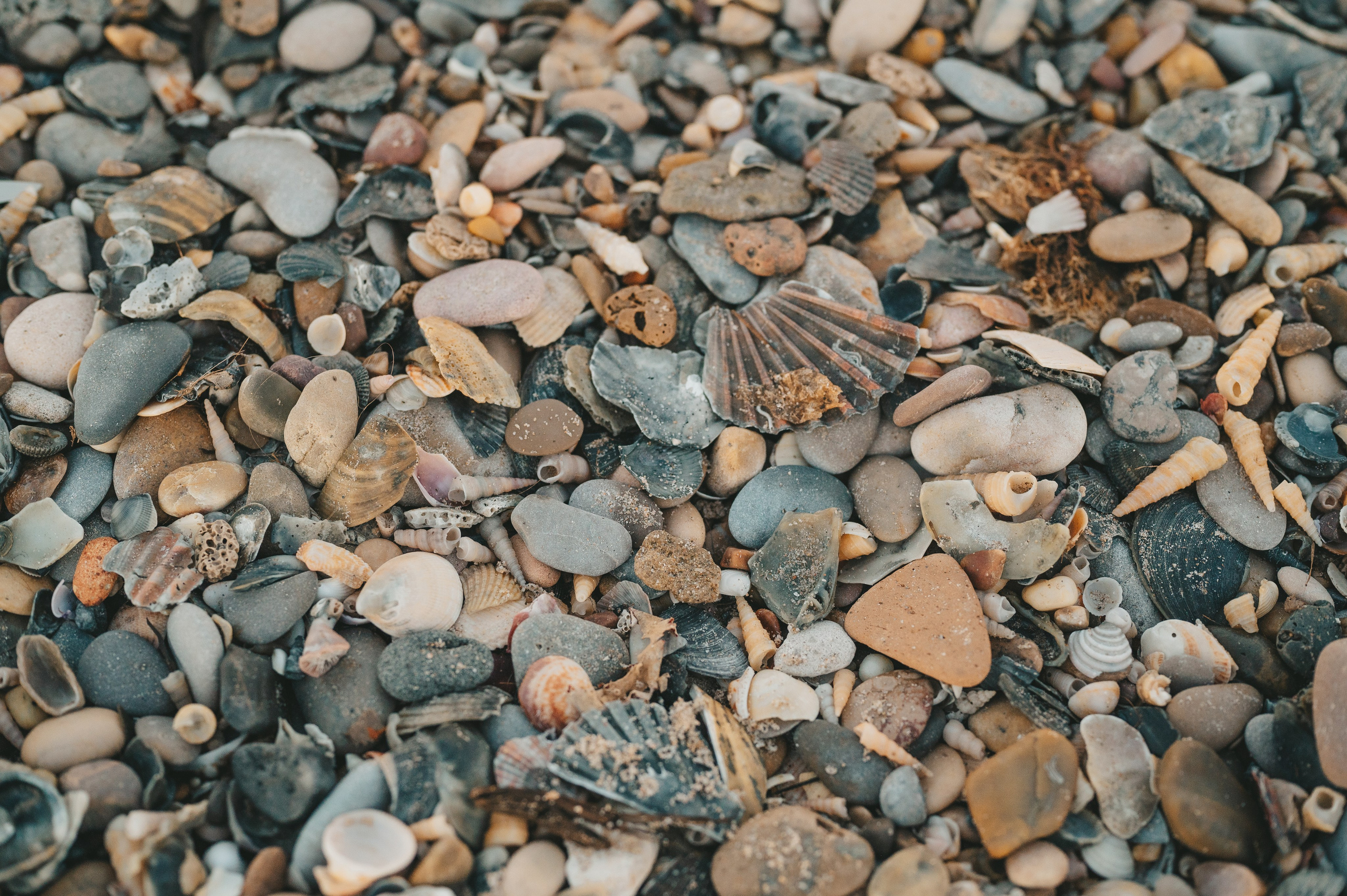 Zhenya, Tanya, Nikita & Ivanna. Татьяна Малышева — семейный фотограф и видеограф в Валенсии, Испания