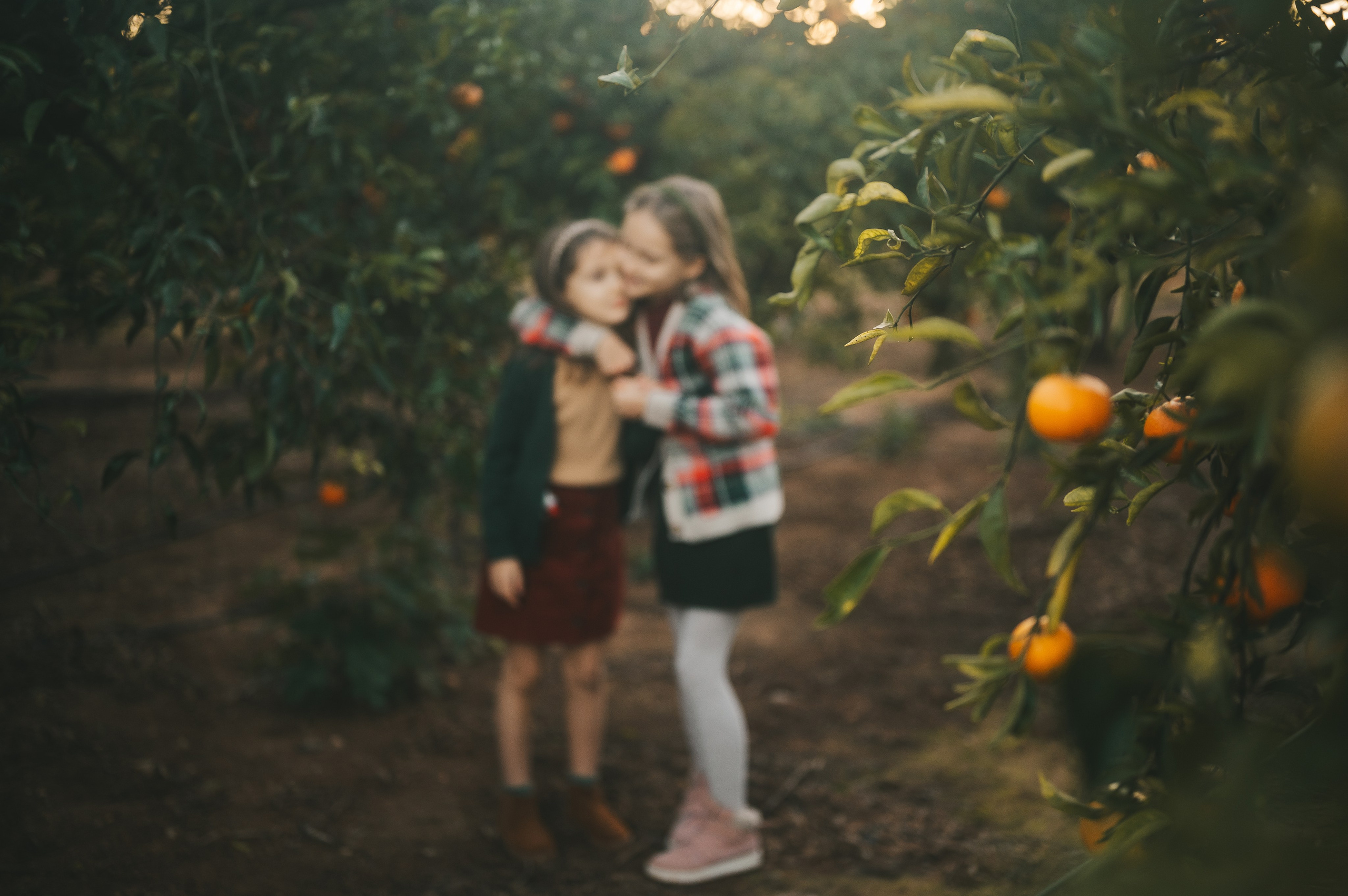 Tangerine Paradise. Тетяна Малишева - сімейний фотограф і відеограф у Валенсії, Іспанія