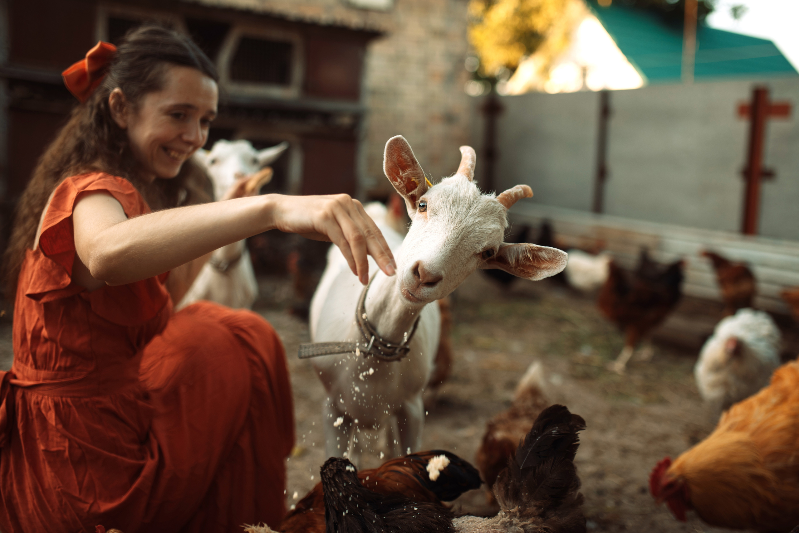 Прекрасная Маргарита. Татьяна Малышева — семейный фотограф и видеограф в Валенсии, Испания