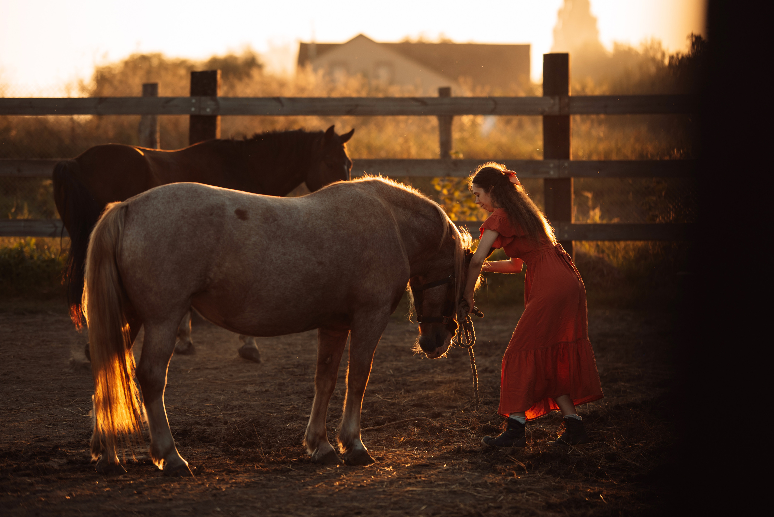 Прекрасная Маргарита. Татьяна Малышева — семейный фотограф и видеограф в Валенсии, Испания