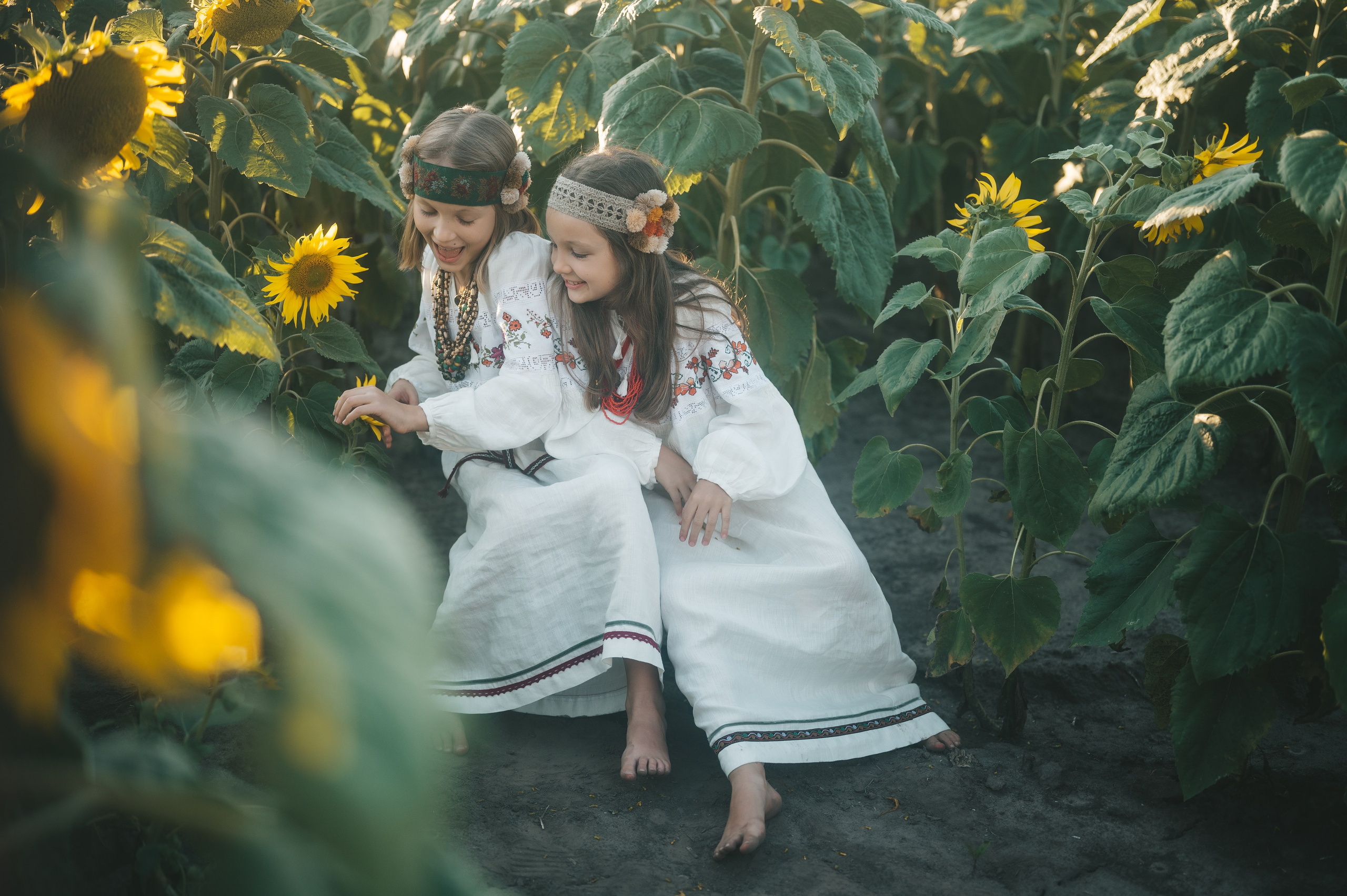 Sunflower field. Татьяна Малышева — семейный фотограф и видеограф в Валенсии, Испания