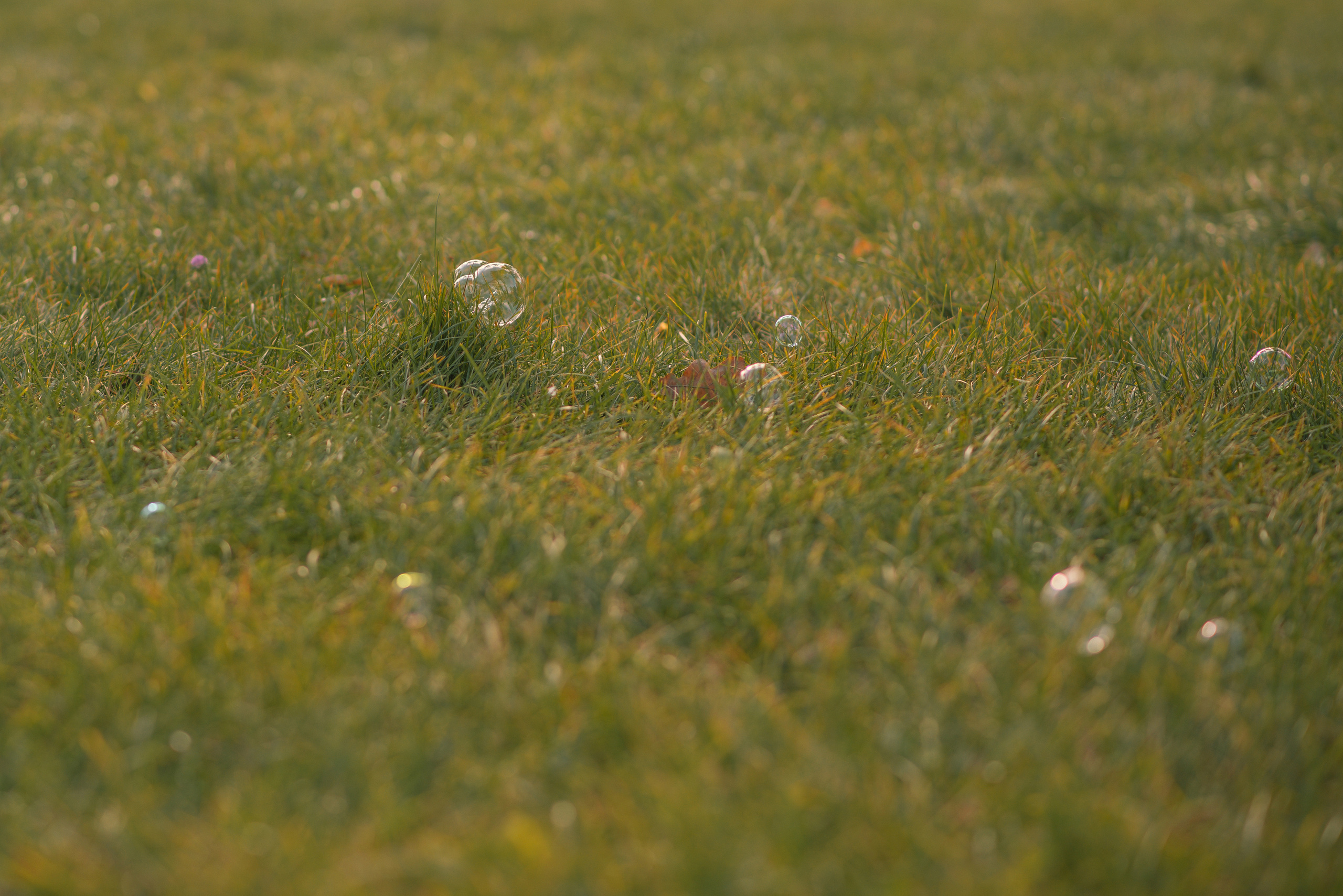 Autumn vibe with Anastasia, Andriy, Varvara & Yesenia. Татьяна Малышева — семейный фотограф и видеограф в Валенсии, Испания