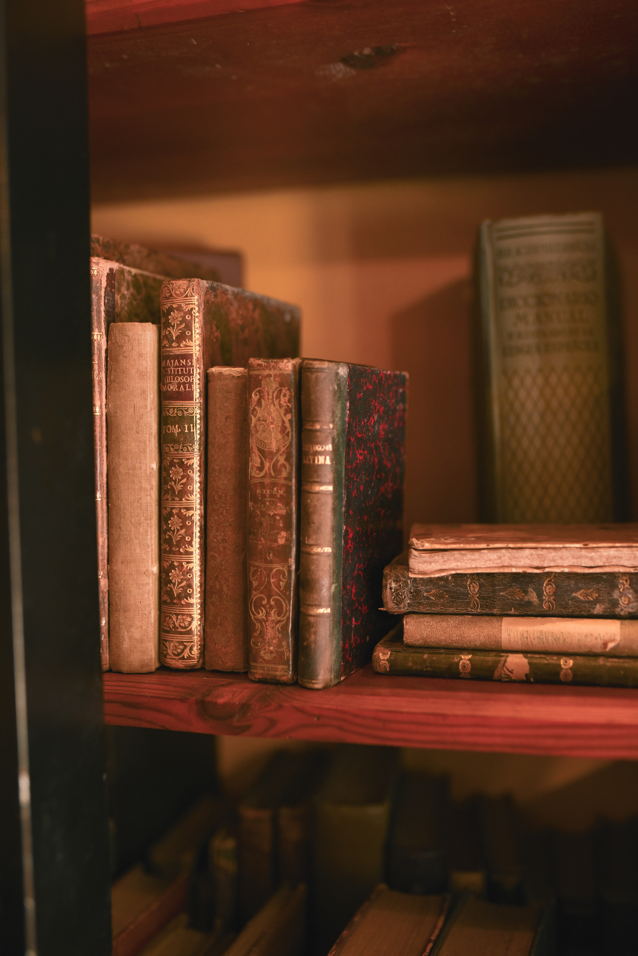 Anna and Noovie. Татьяна Малышева — семейный фотограф и видеограф в Валенсии, Испания