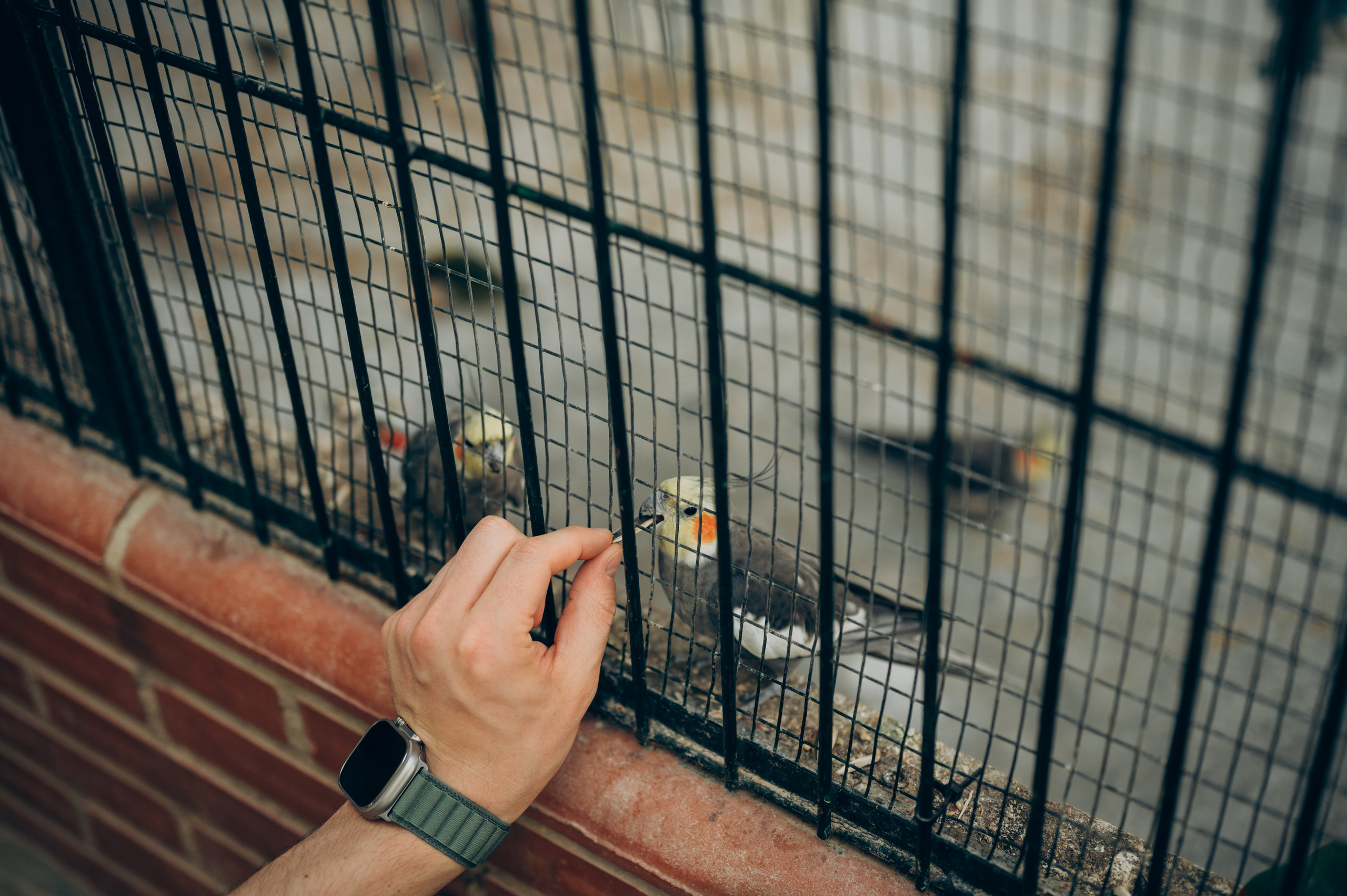 Ivan, Marina, Liza & Tima. Тетяна Малишева - сімейний фотограф і відеограф у Валенсії, Іспанія