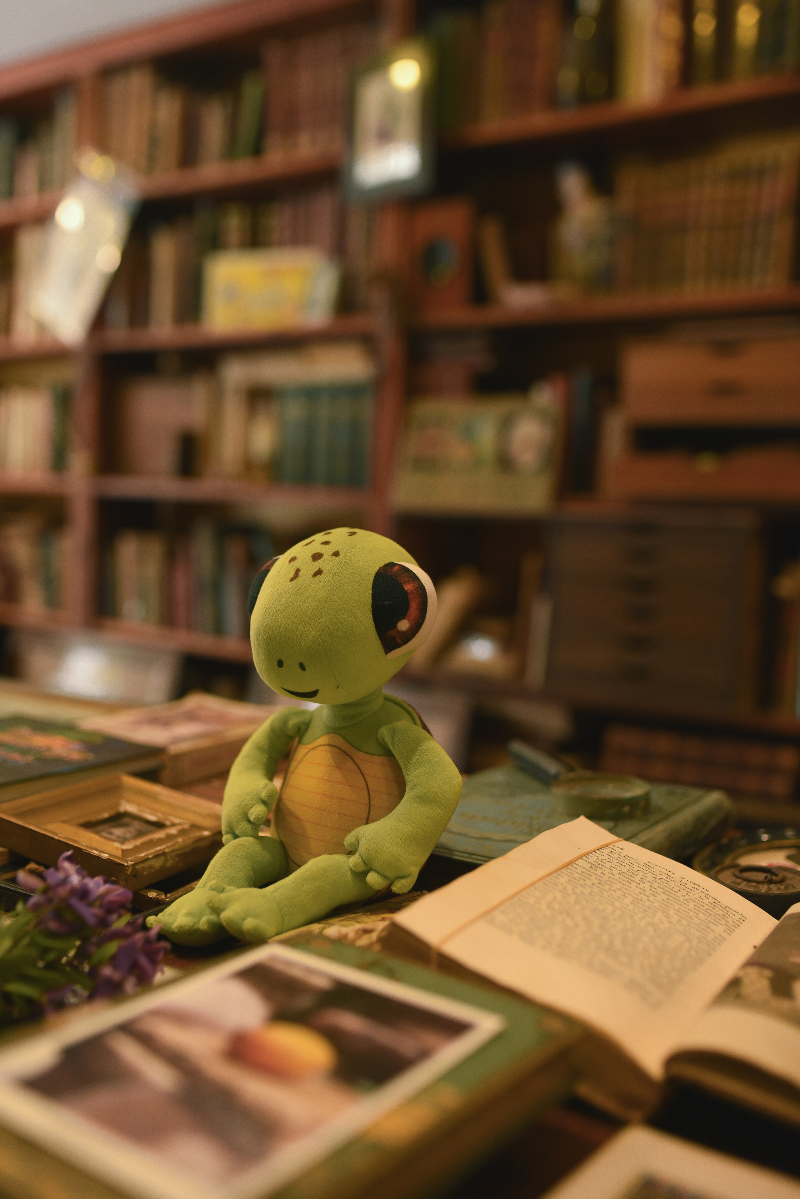 Anna and Noovie. Татьяна Малышева — семейный фотограф и видеограф в Валенсии, Испания