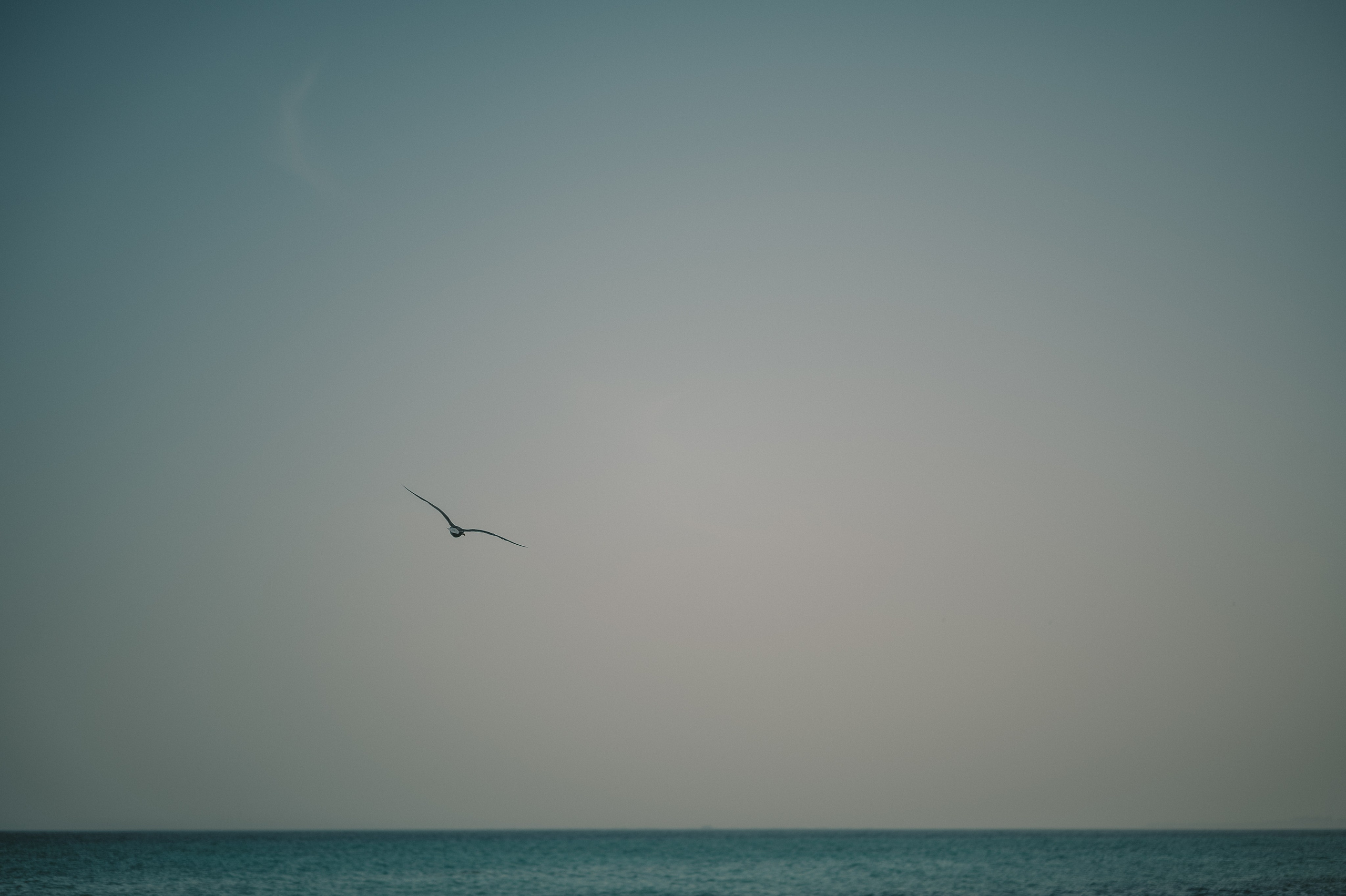 Stas and Natalie. Татьяна Малышева — семейный фотограф и видеограф в Валенсии, Испания