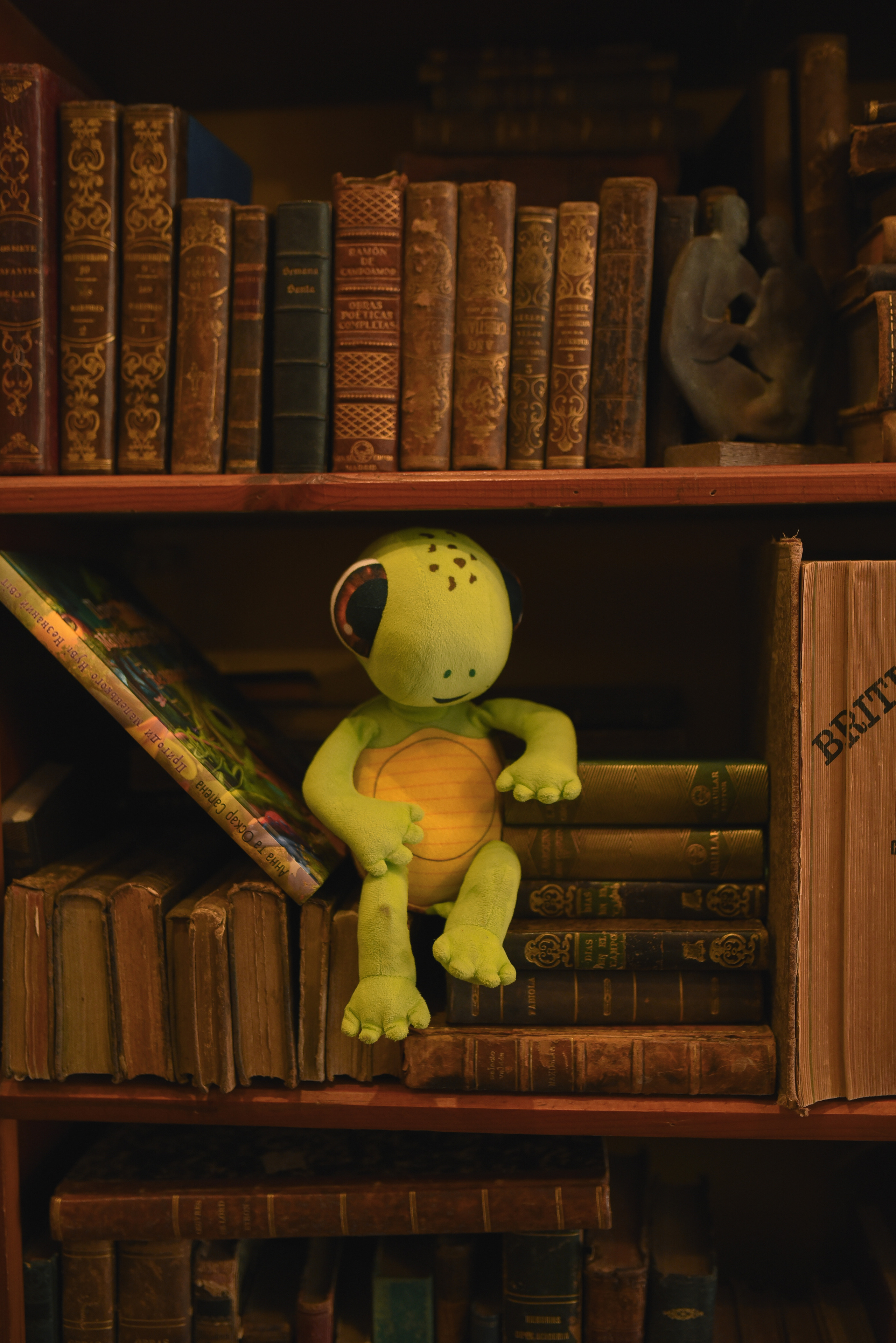 Anna and Noovie. Татьяна Малышева — семейный фотограф и видеограф в Валенсии, Испания