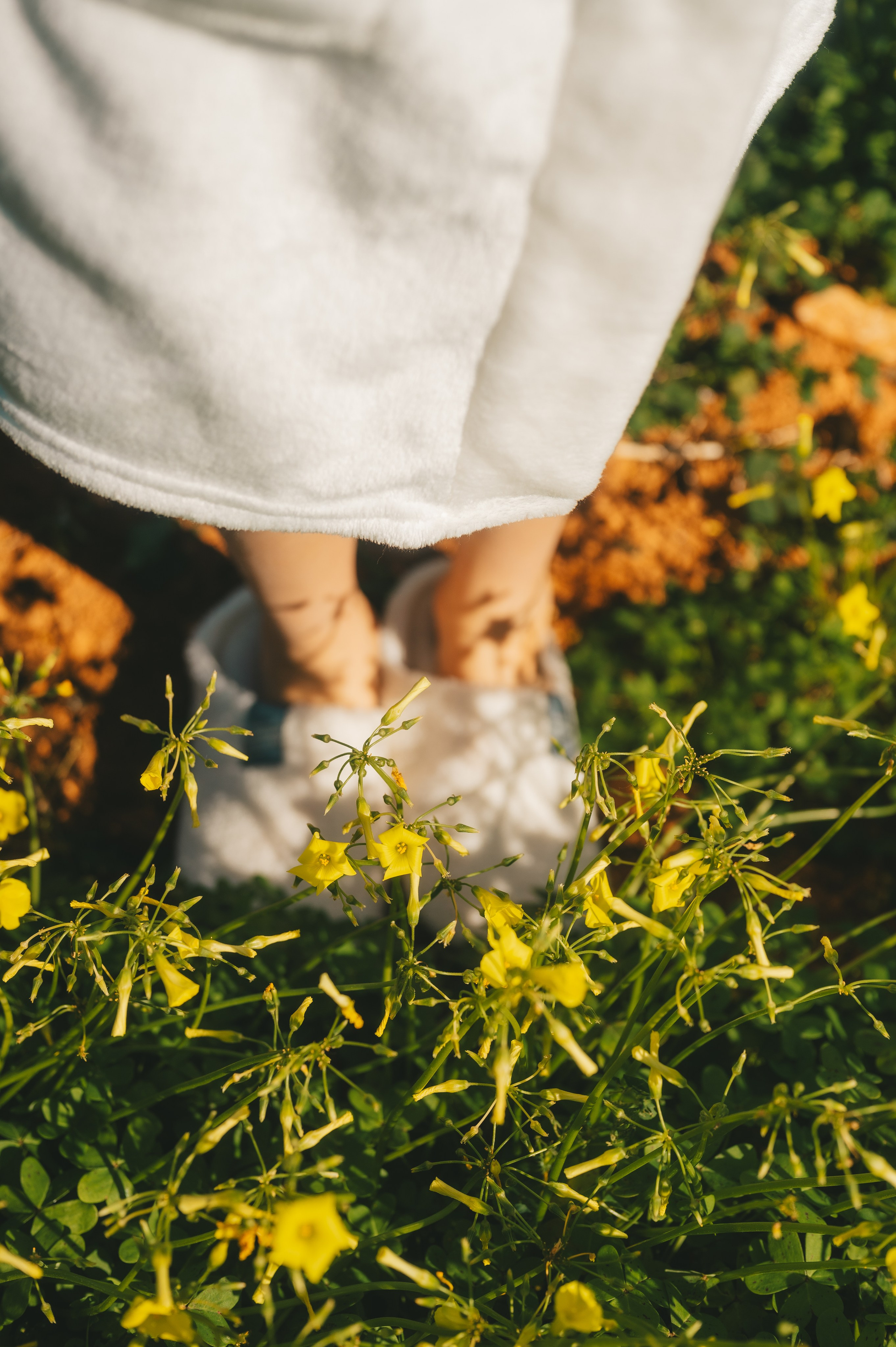 Sunshine Catcher. Tatiana Malysheva — lifestyle fotógrafa y videógrafa en Valencia, España