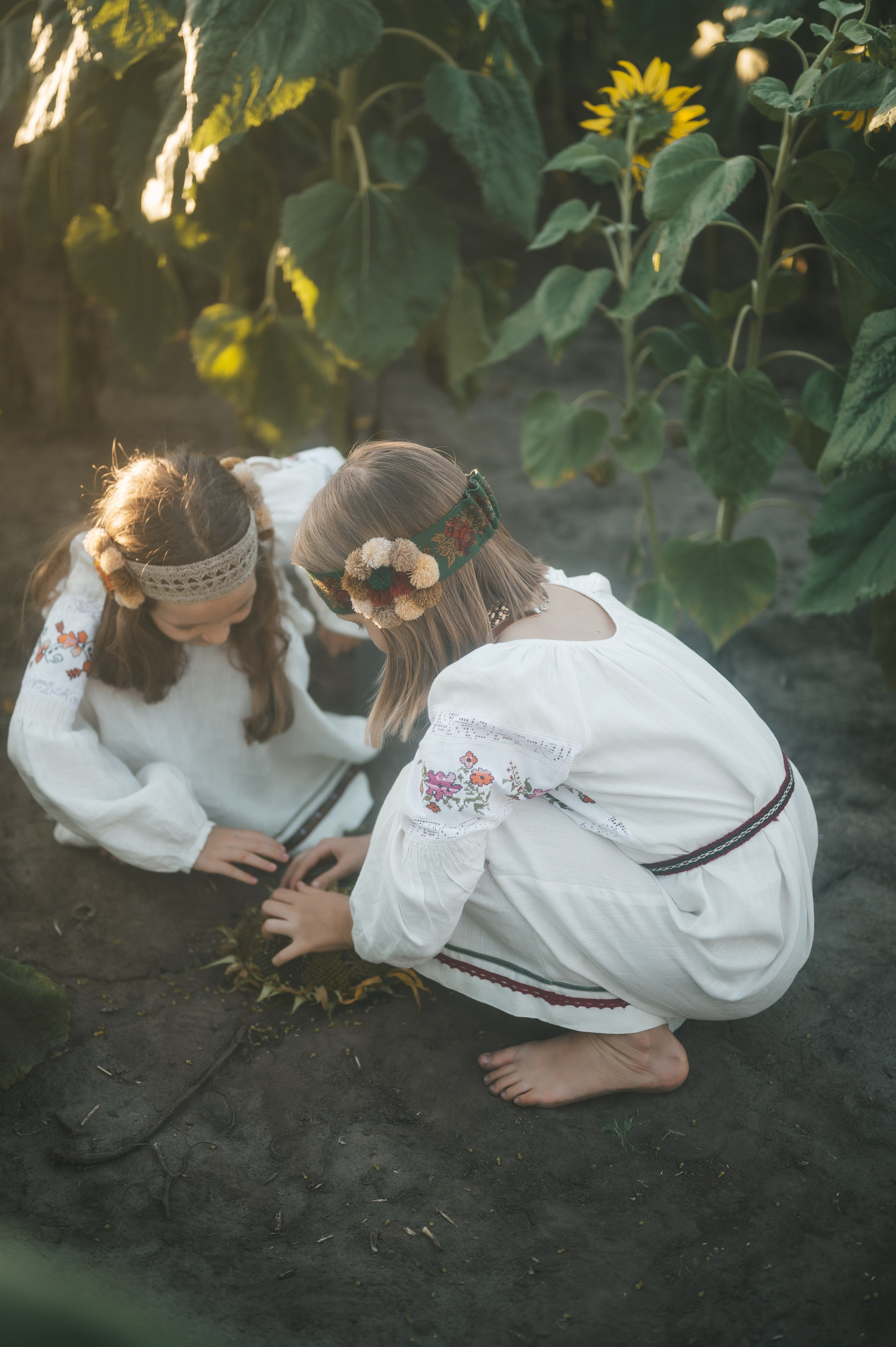 Sunflower field. Татьяна Малышева — семейный фотограф и видеограф в Валенсии, Испания