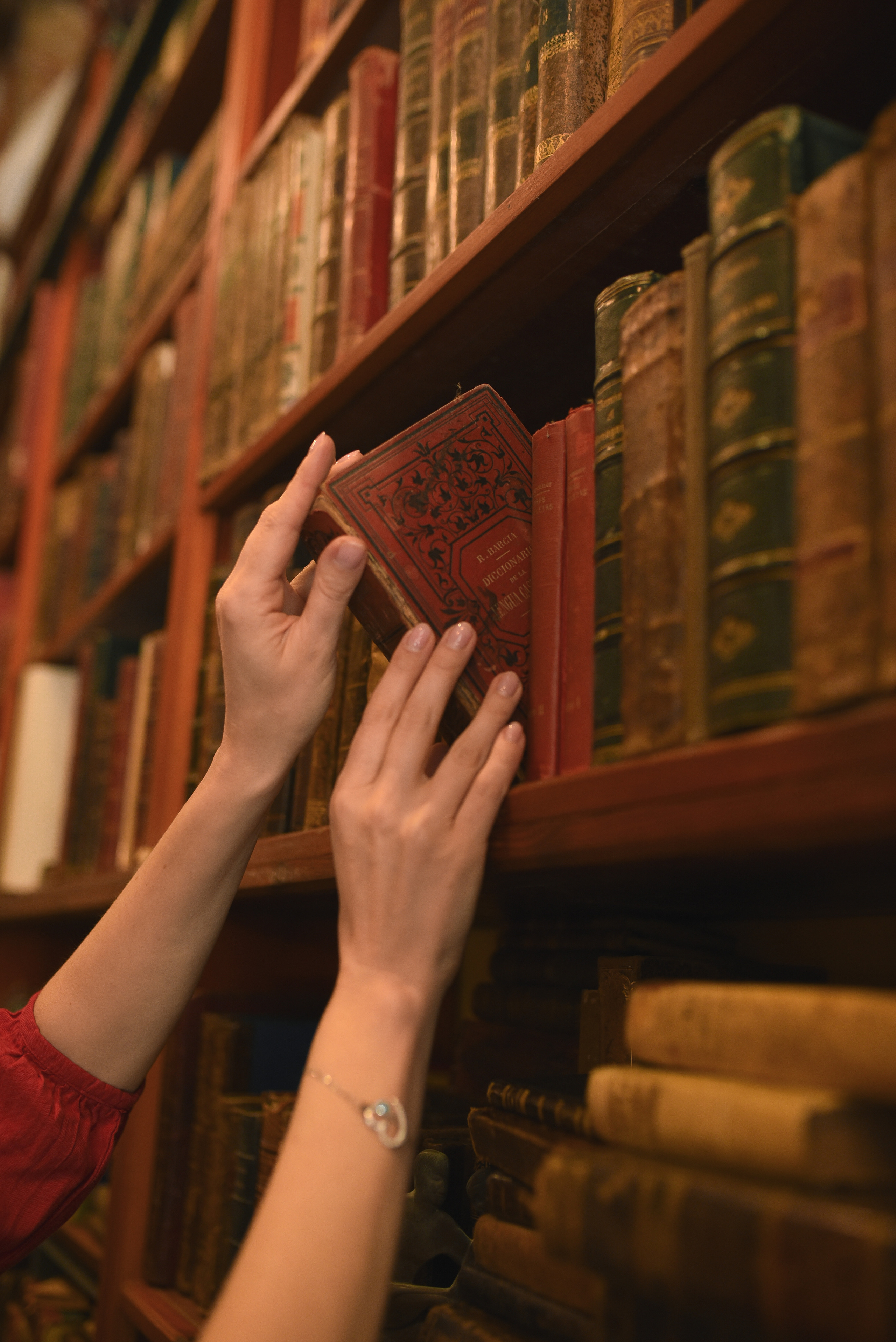 Anna and Noovie. Татьяна Малышева — семейный фотограф и видеограф в Валенсии, Испания