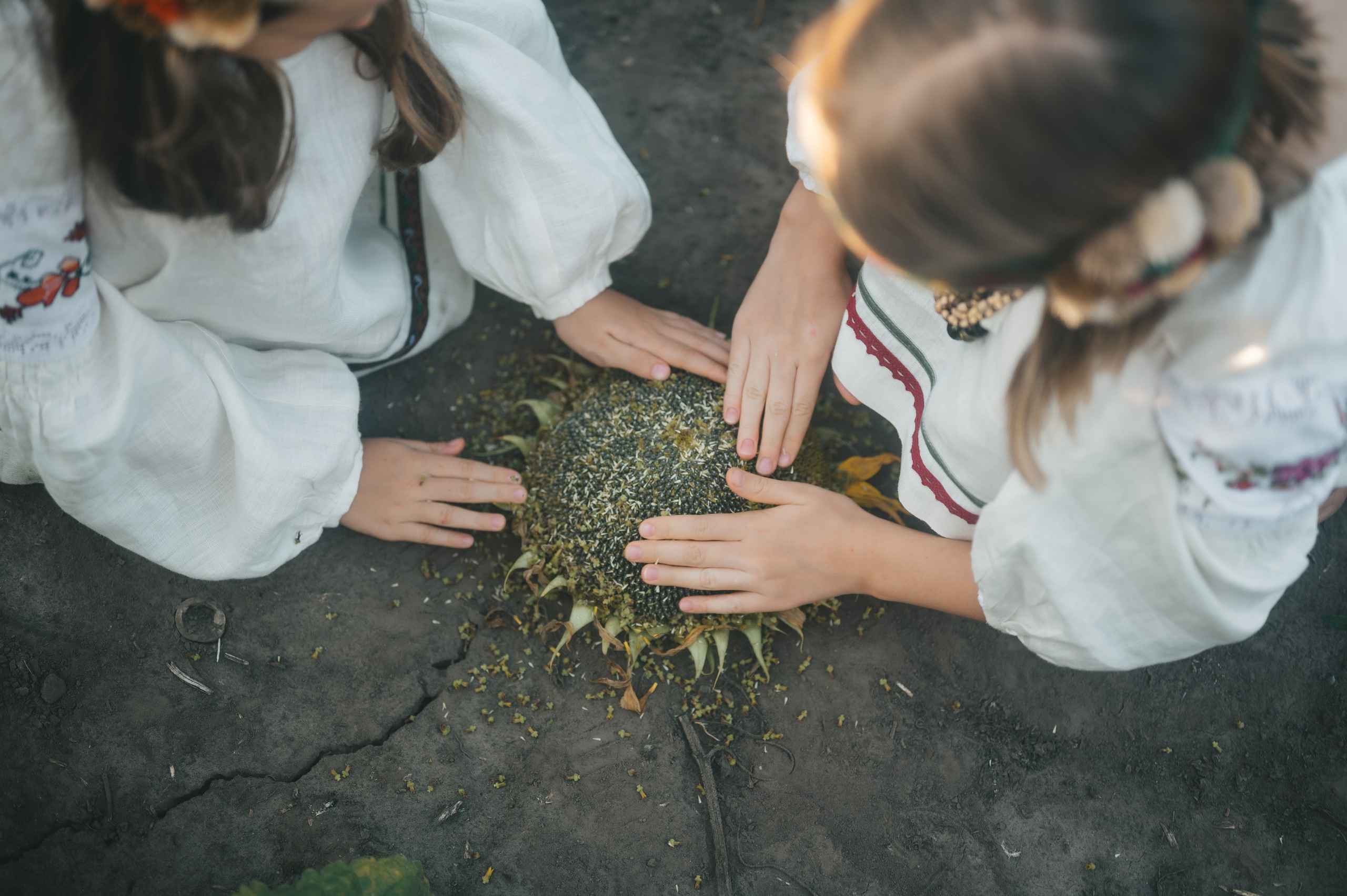 Sunflower field. Татьяна Малышева — семейный фотограф и видеограф в Валенсии, Испания