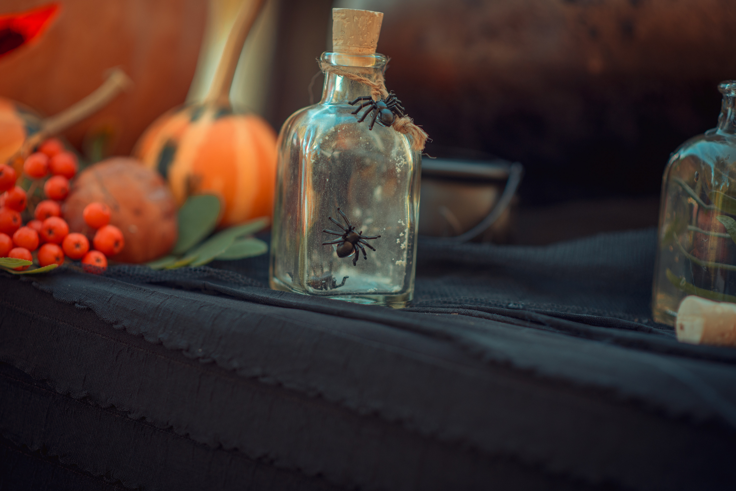 Little Witches. Tatiana Malysheva — family photographer and videographer in Valencia, Spain