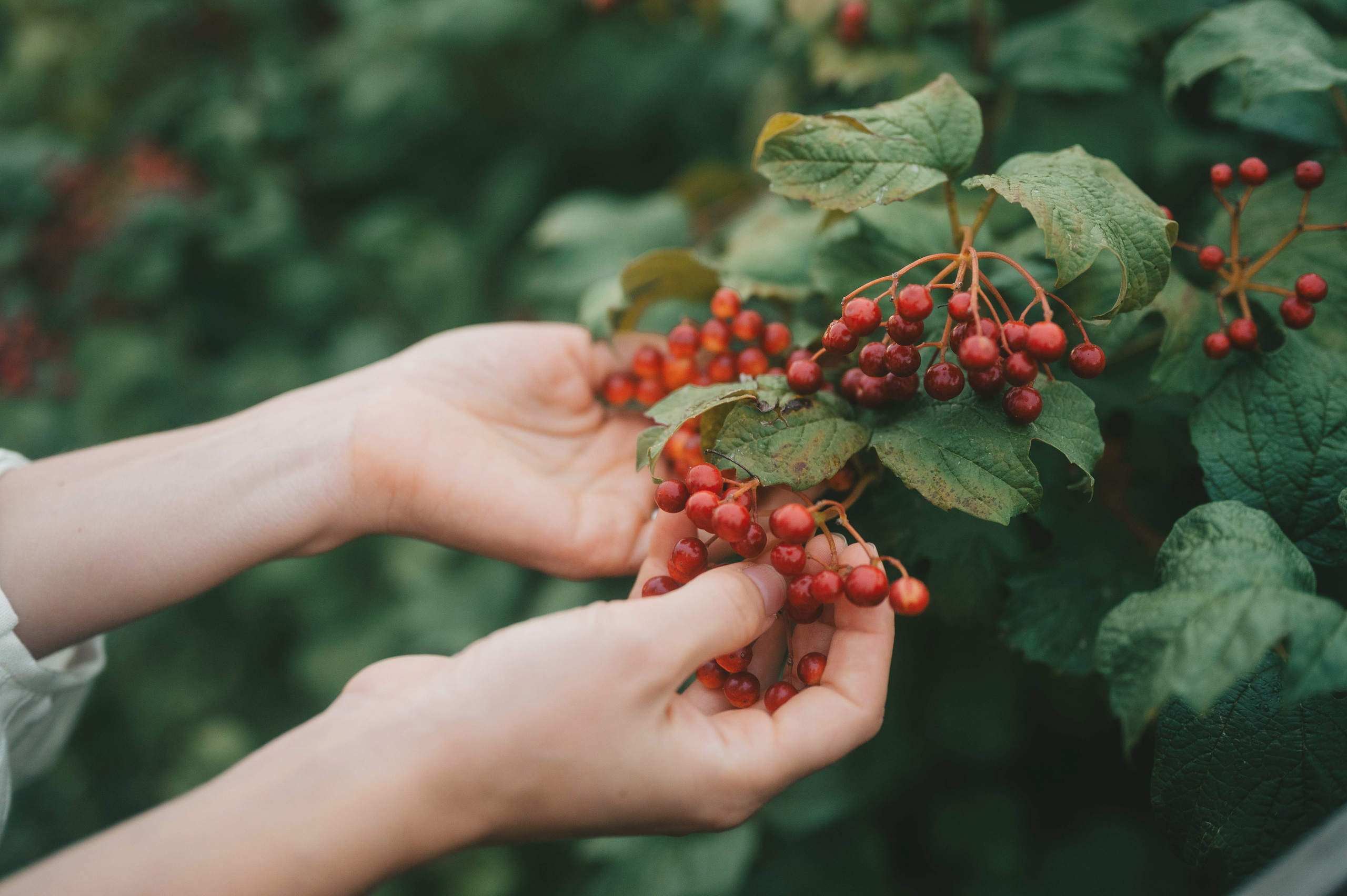 Ukrainian village. Tatiana Malysheva — lifestyle fotógrafa y videógrafa en Valencia, España