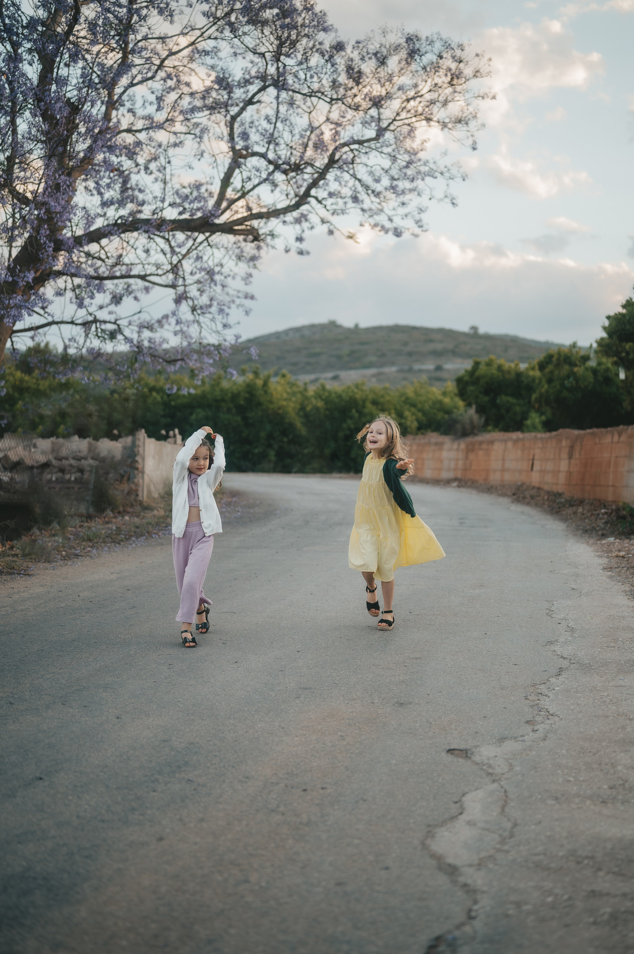 Jacaranda flowers. Tatiana Malysheva — family photographer and videographer in Valencia, Spain