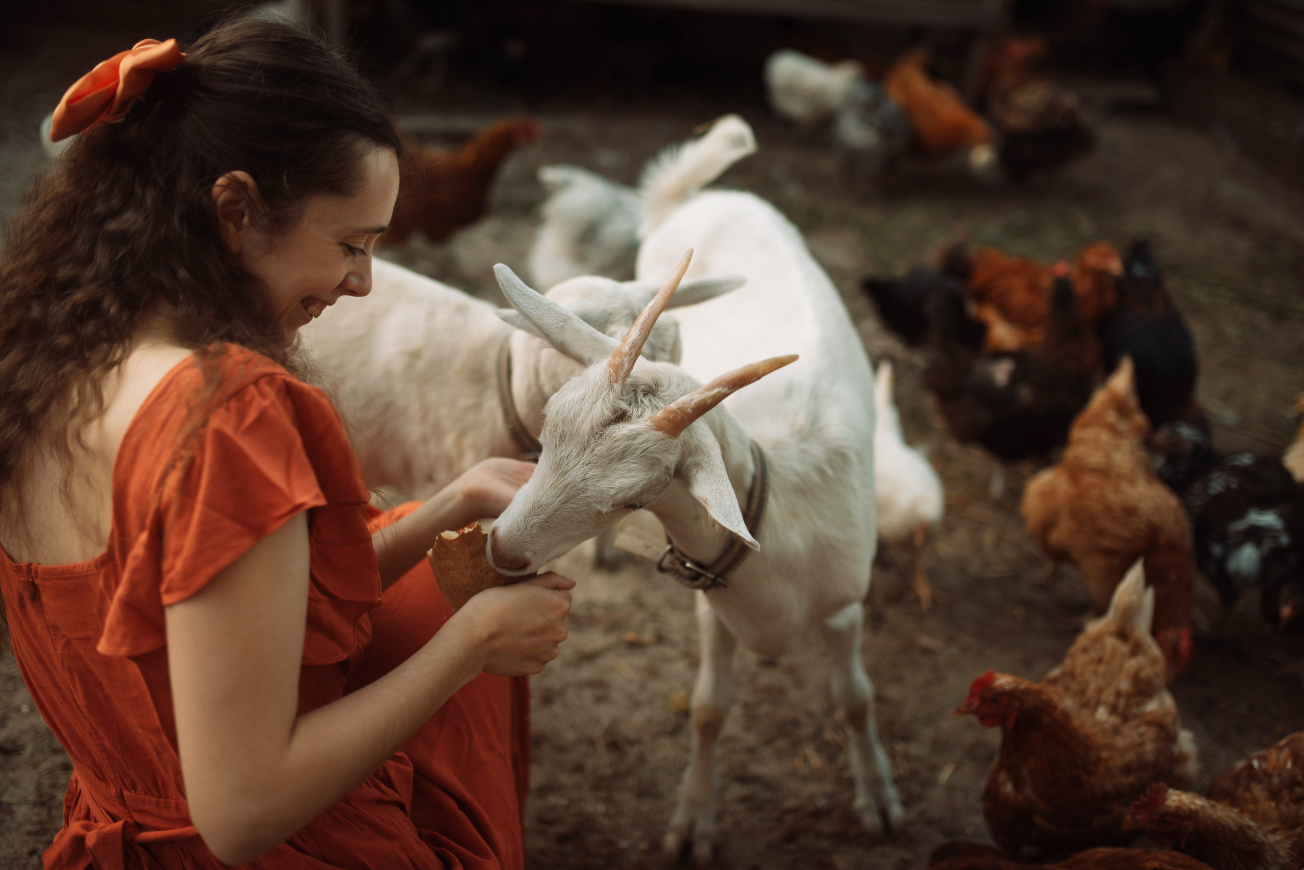 Прекрасная Маргарита. Татьяна Малышева — семейный фотограф и видеограф в Валенсии, Испания