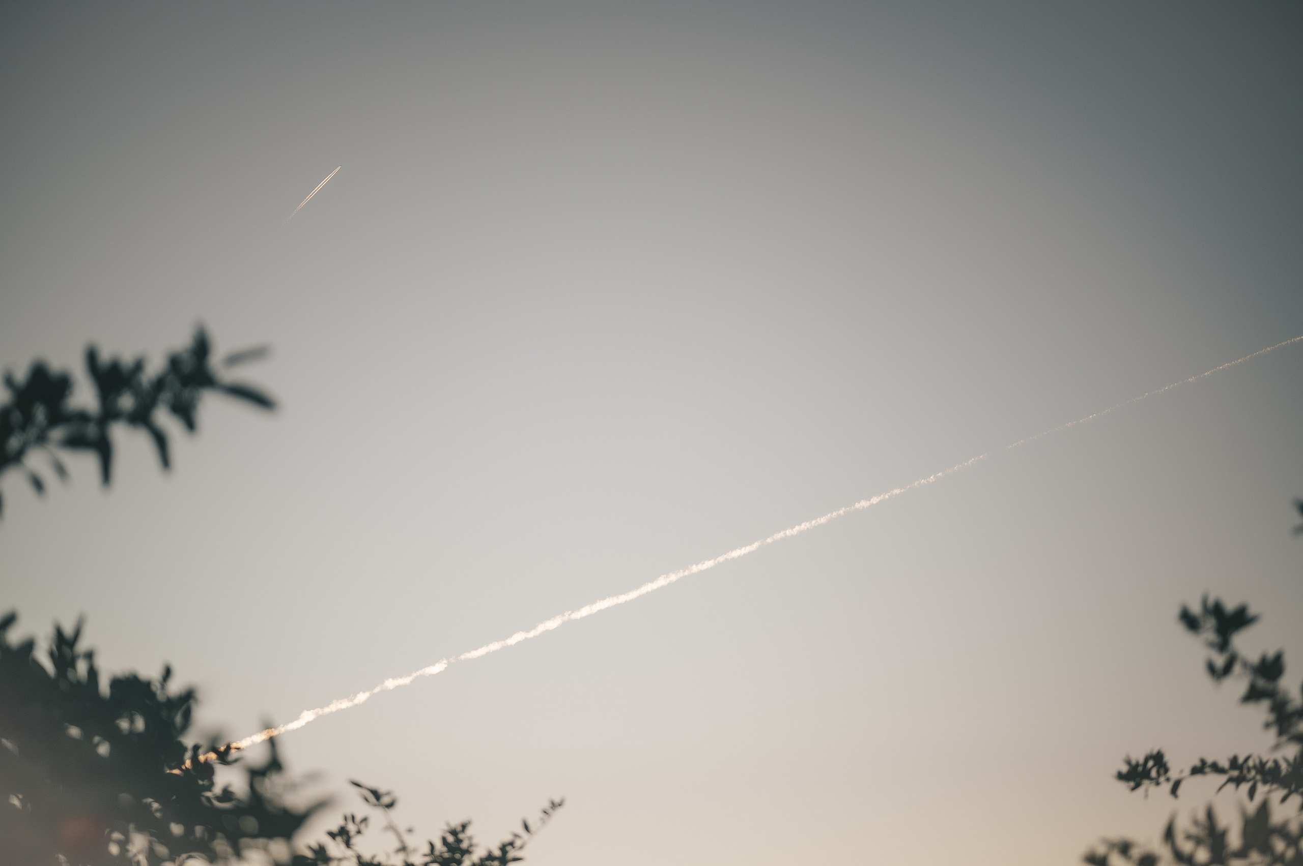 Tangerine Paradise. Тетяна Малишева - сімейний фотограф і відеограф у Валенсії, Іспанія