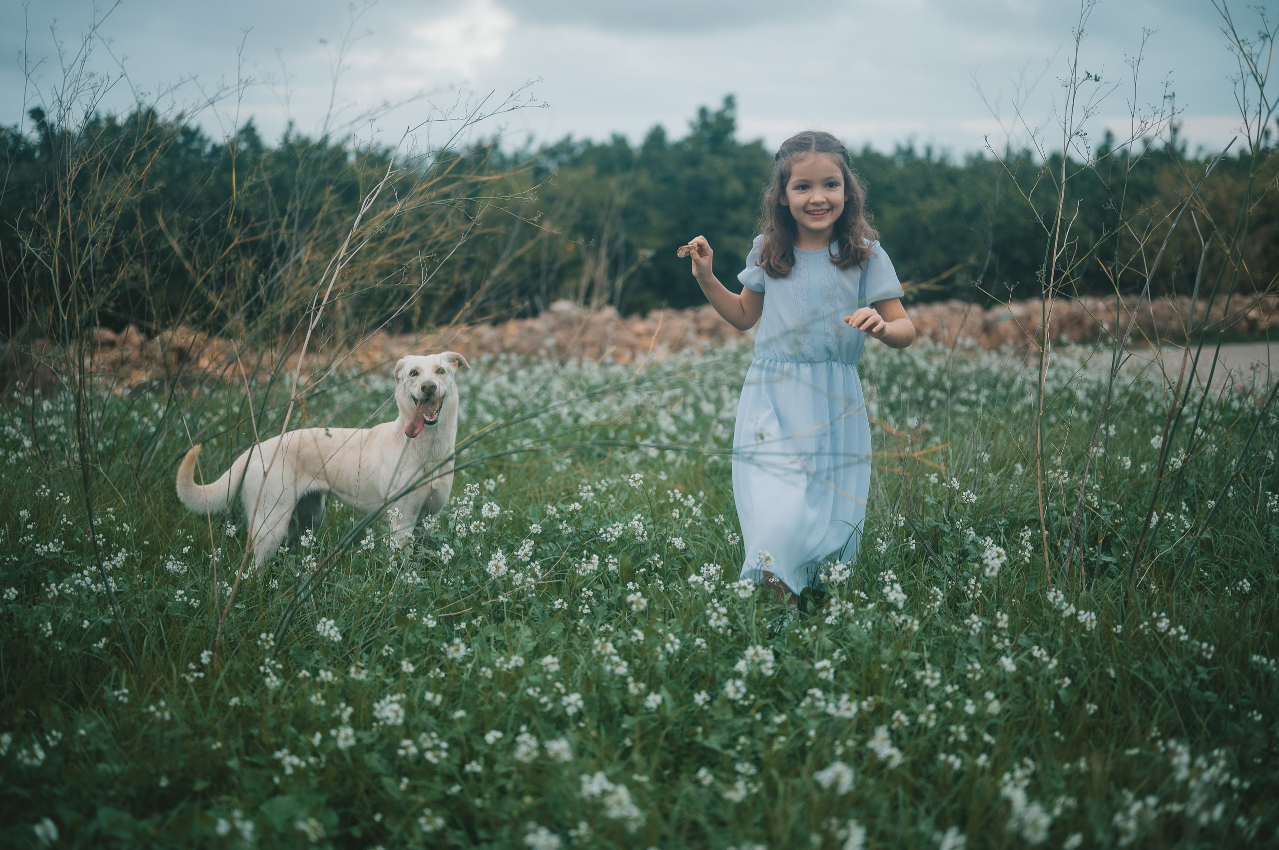 Little fairytail. Tatiana Malysheva — lifestyle fotógrafa y videógrafa en Valencia, España