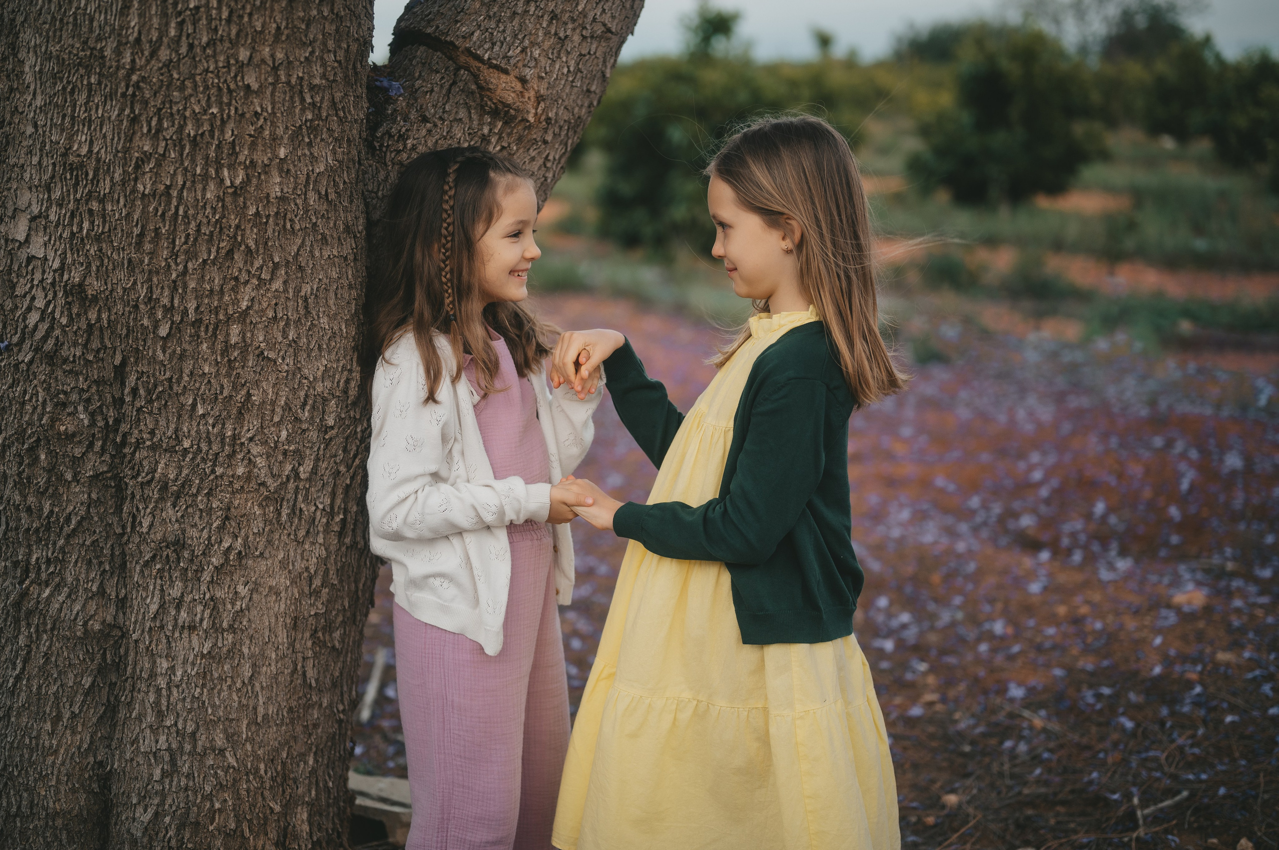 Jacaranda flowers. Tatiana Malysheva — family photographer and videographer in Valencia, Spain