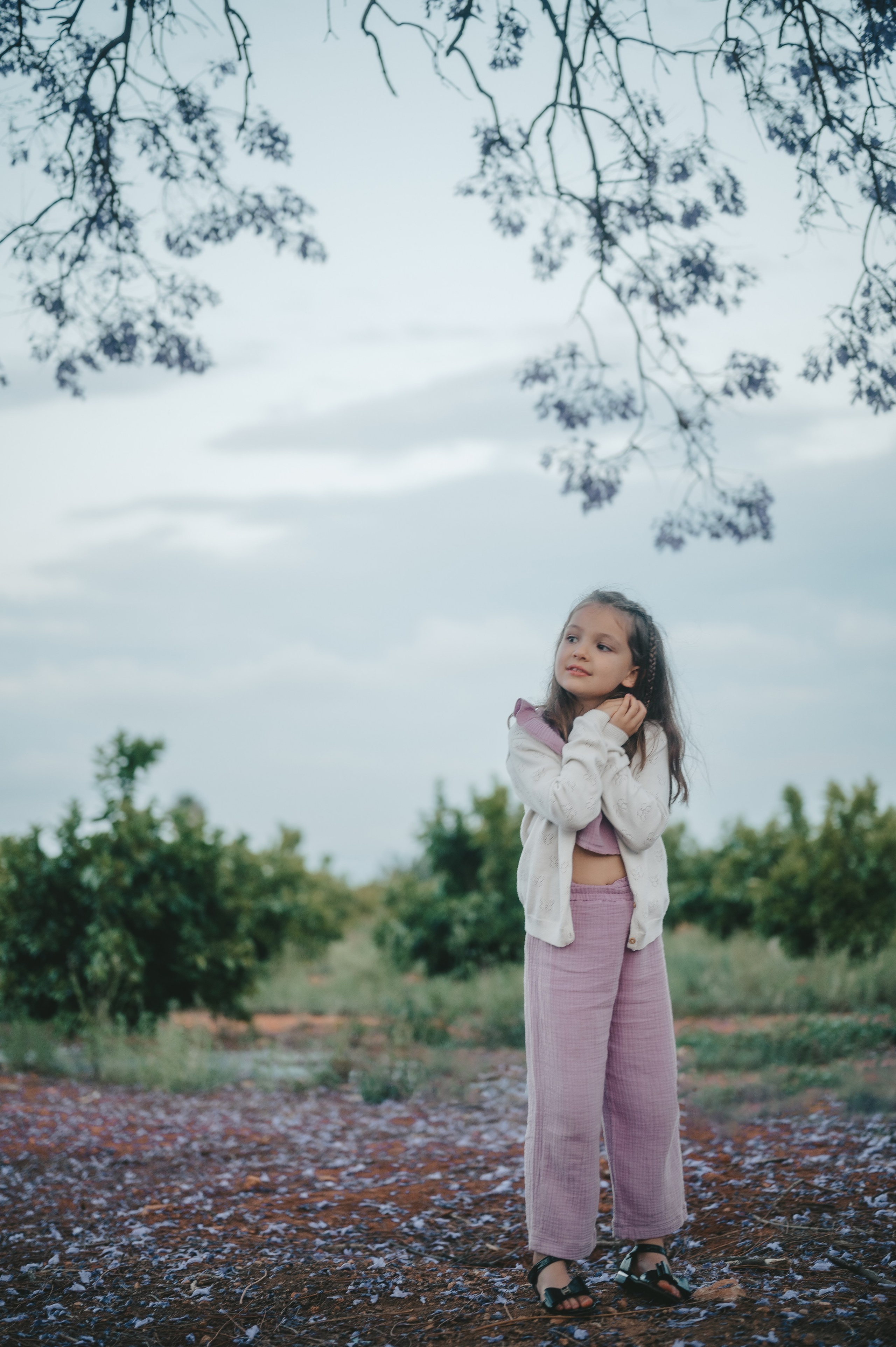Jacaranda flowers. Tatiana Malysheva — family photographer and videographer in Valencia, Spain