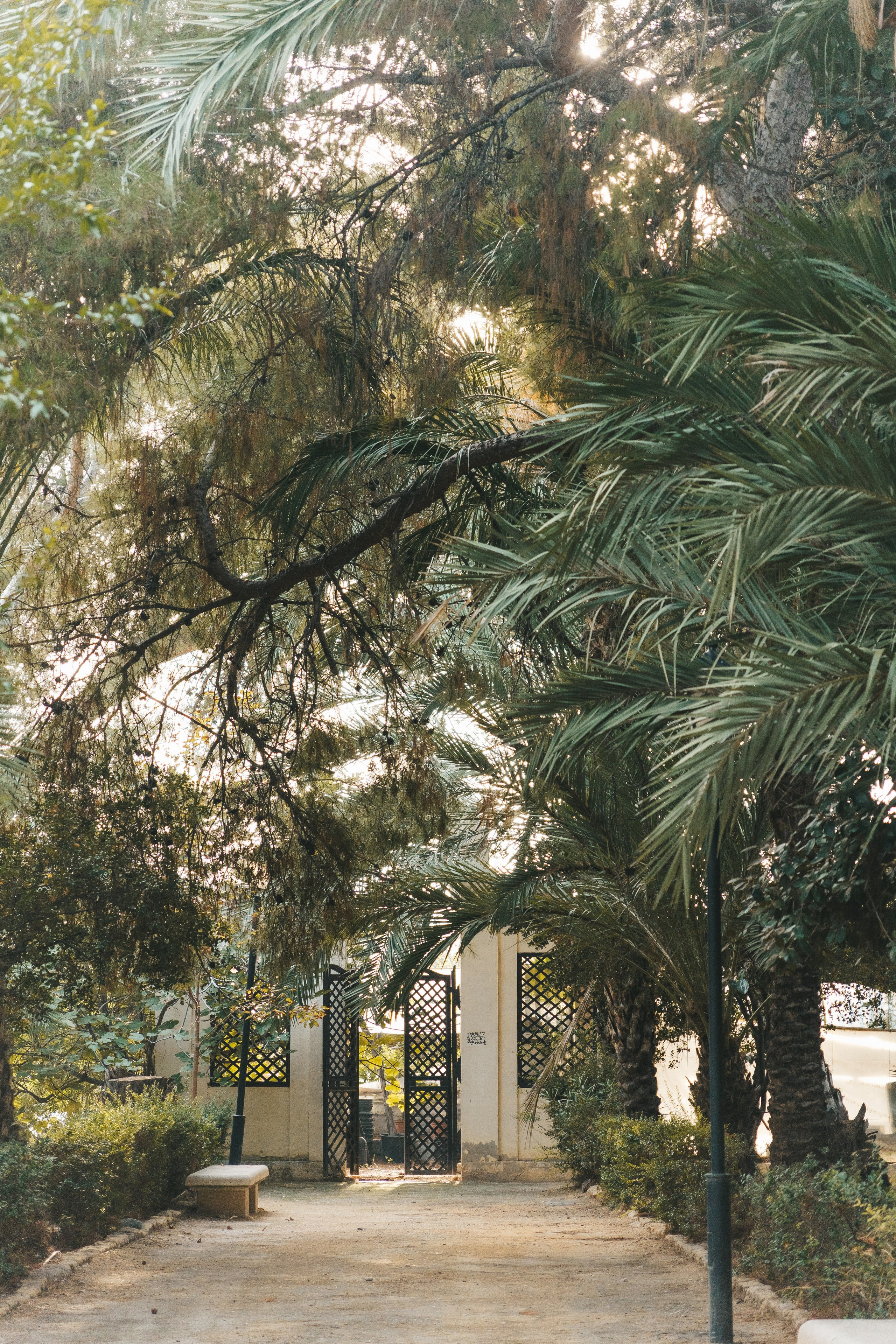 Maria Alejandra & Briac. Тетяна Малишева - сімейний фотограф і відеограф у Валенсії, Іспанія