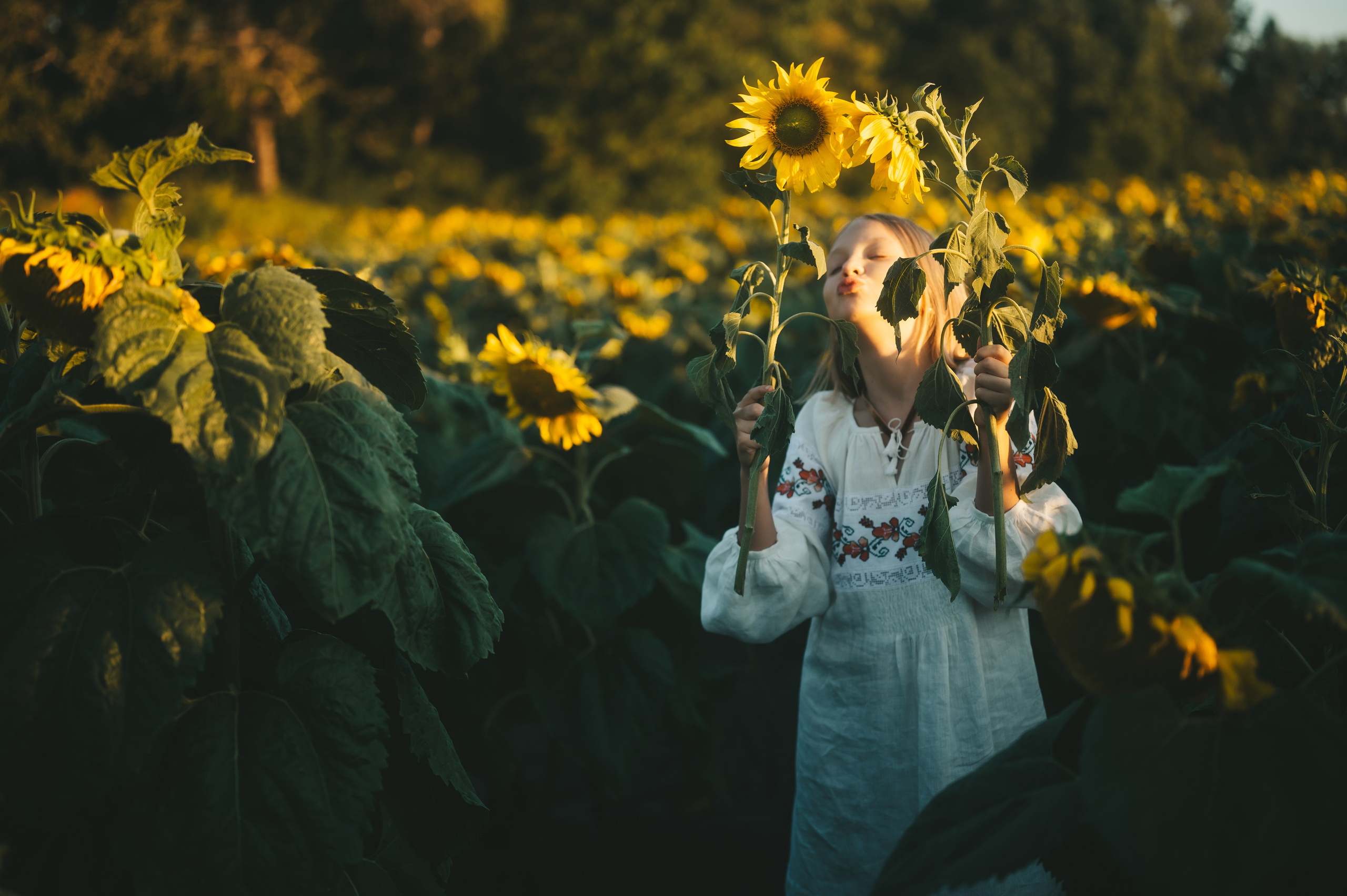 Sunflower field. Татьяна Малышева — семейный фотограф и видеограф в Валенсии, Испания