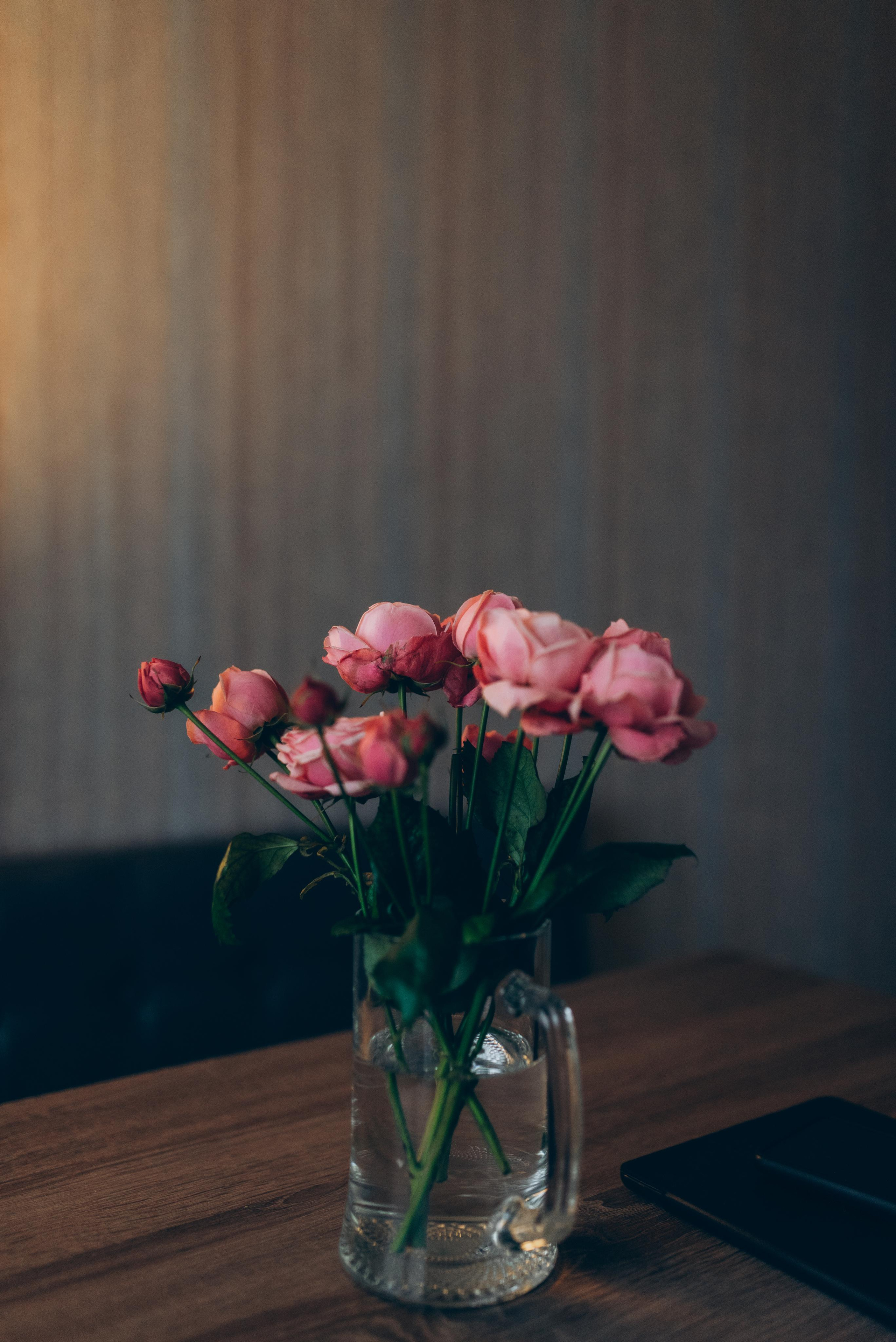 Sunday Morning. Tatiana Malysheva — family photographer and videographer in Valencia, Spain