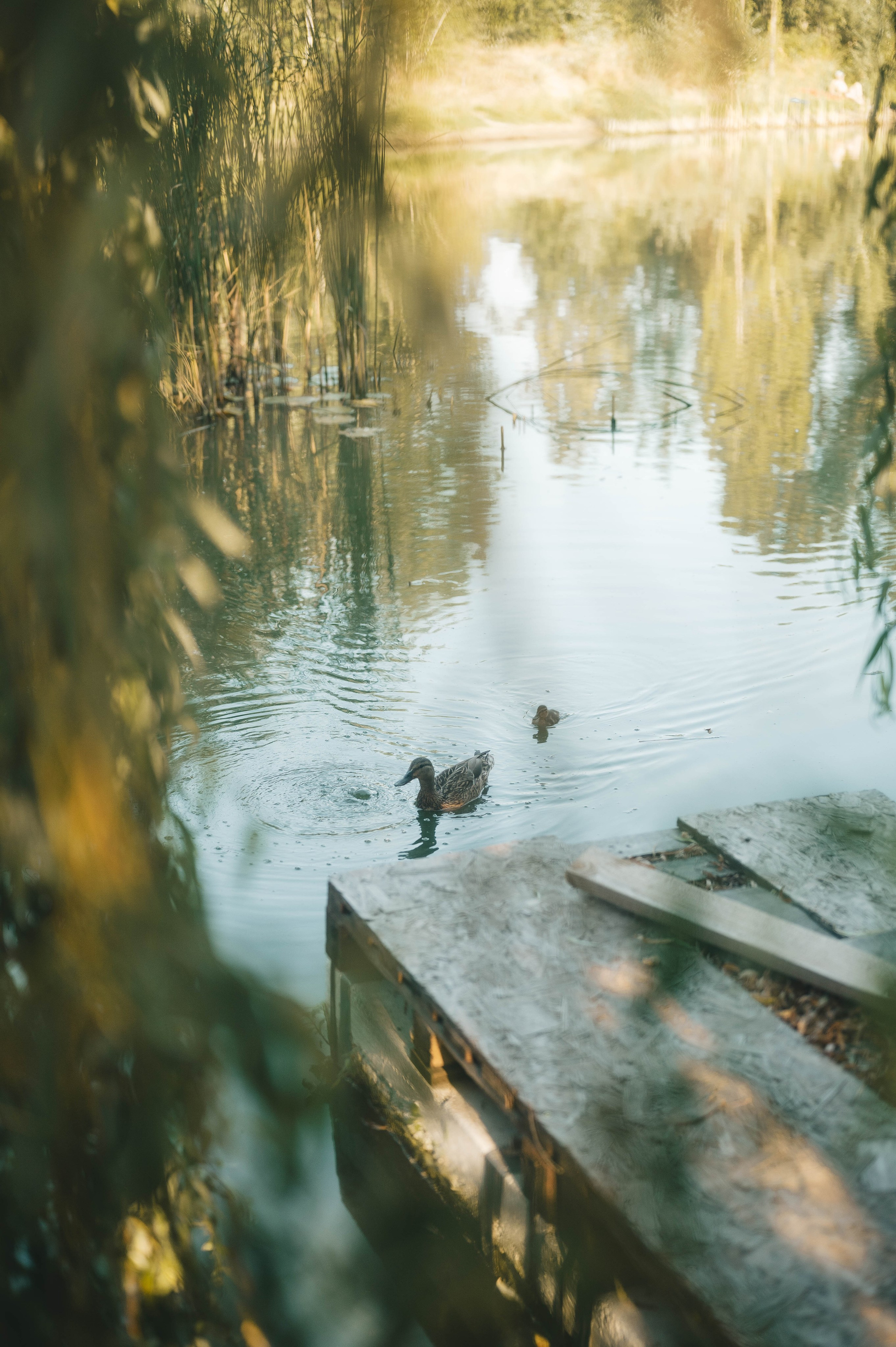 Andrii, Natalia, Maria & Oleksandr. Тетяна Малишева - сімейний фотограф і відеограф у Валенсії, Іспанія