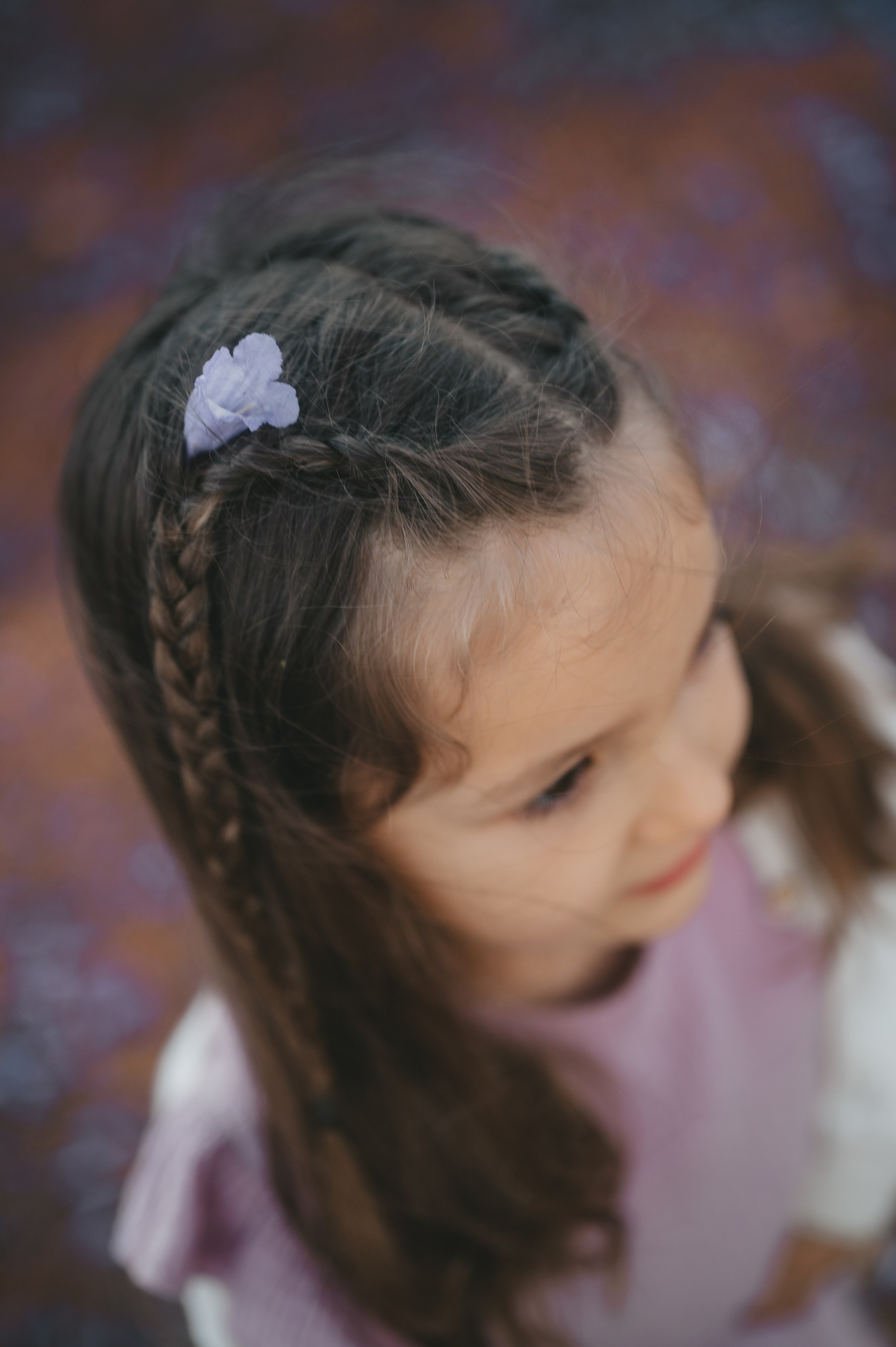 Jacaranda flowers. Tatiana Malysheva — family photographer and videographer in Valencia, Spain
