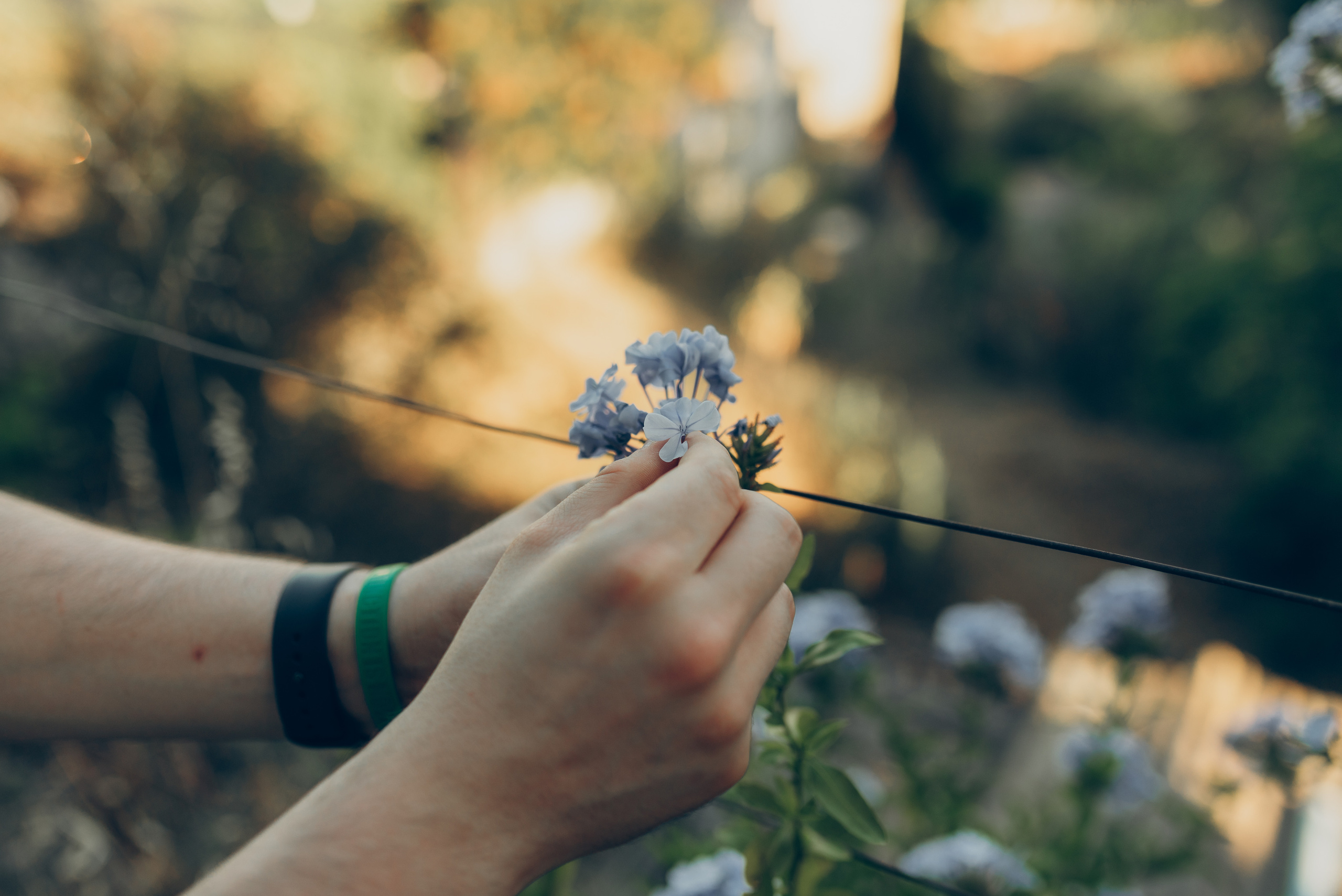 Ivan and Julia. Татьяна Малышева — семейный фотограф и видеограф в Валенсии, Испания