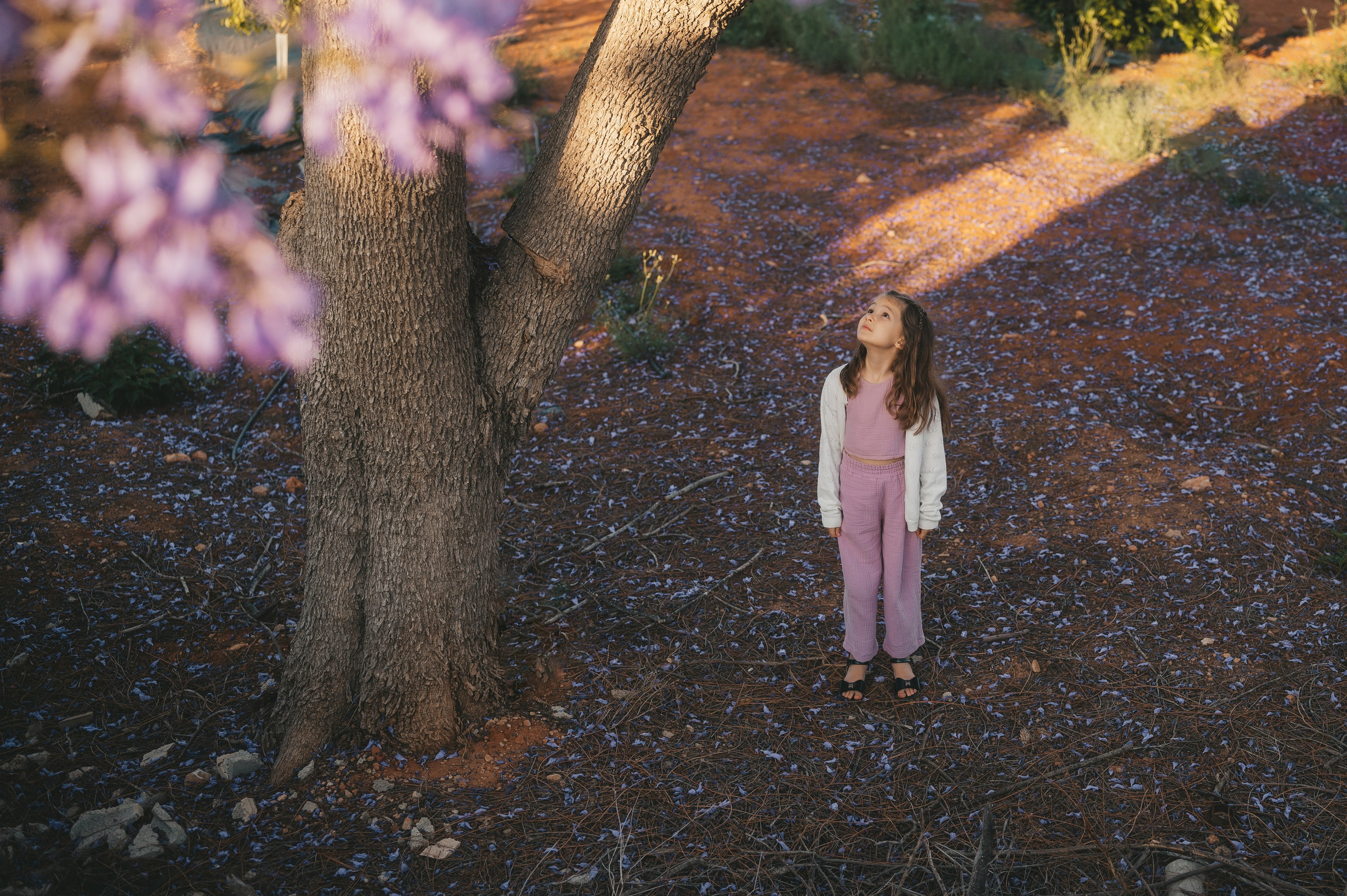 Jacaranda flowers. Tatiana Malysheva — family photographer and videographer in Valencia, Spain