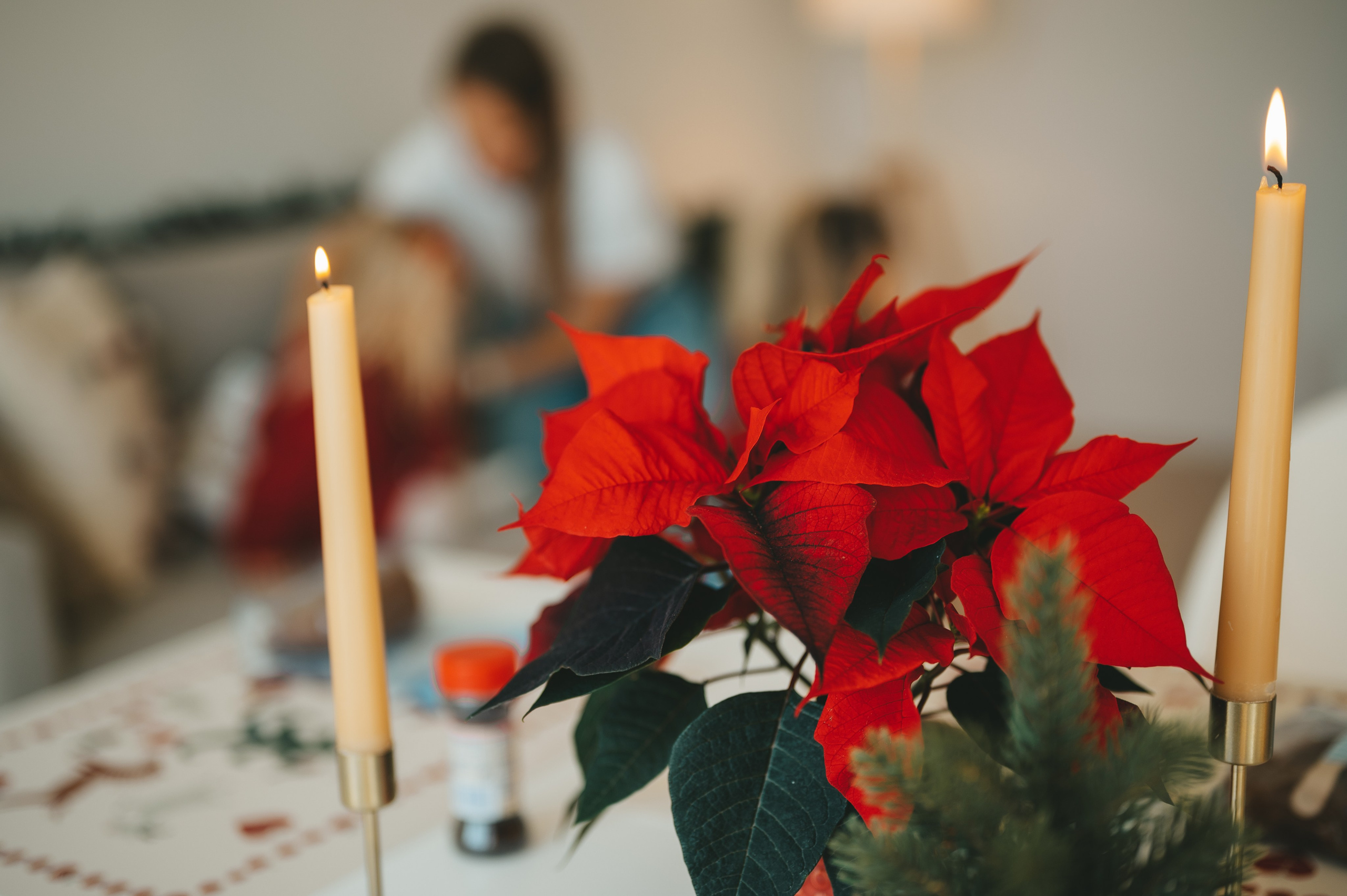 Christmas time. Тетяна Малишева - сімейний фотограф і відеограф у Валенсії, Іспанія