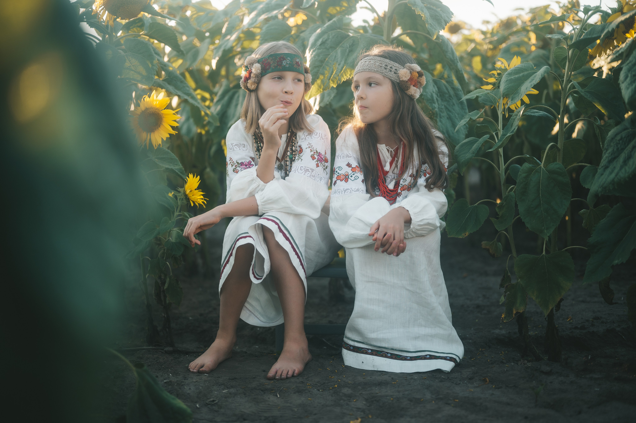 Sunflower field. Татьяна Малышева — семейный фотограф и видеограф в Валенсии, Испания