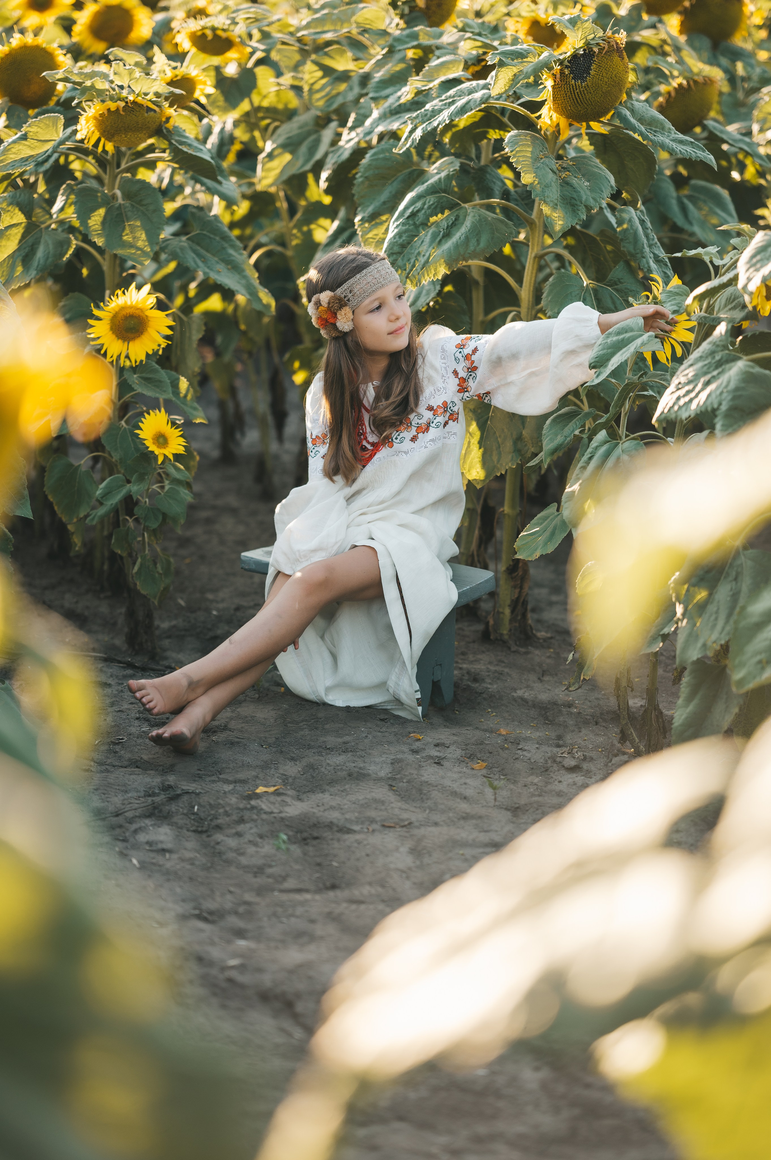 Sunflower field. Татьяна Малышева — семейный фотограф и видеограф в Валенсии, Испания