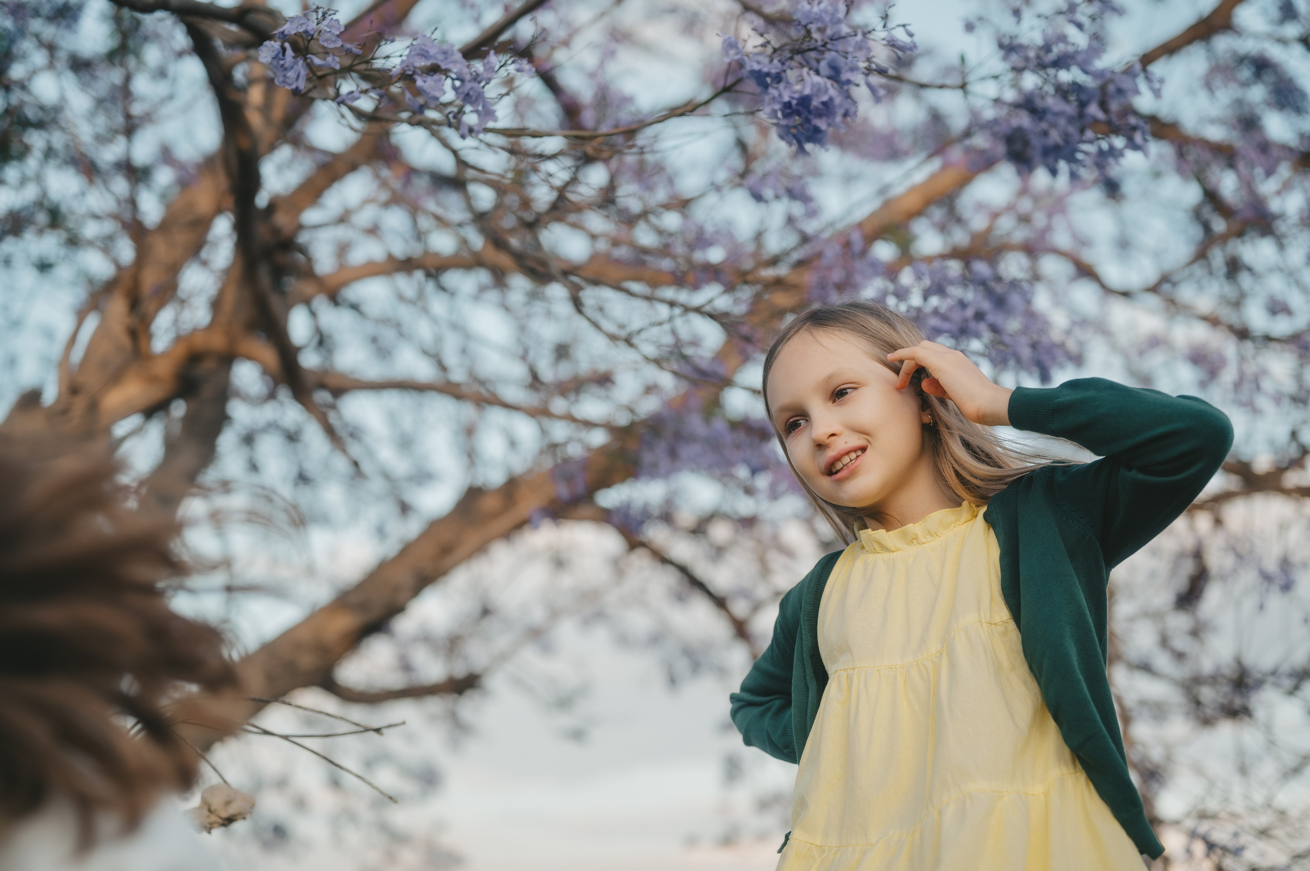 Jacaranda flowers. Tatiana Malysheva — family photographer and videographer in Valencia, Spain