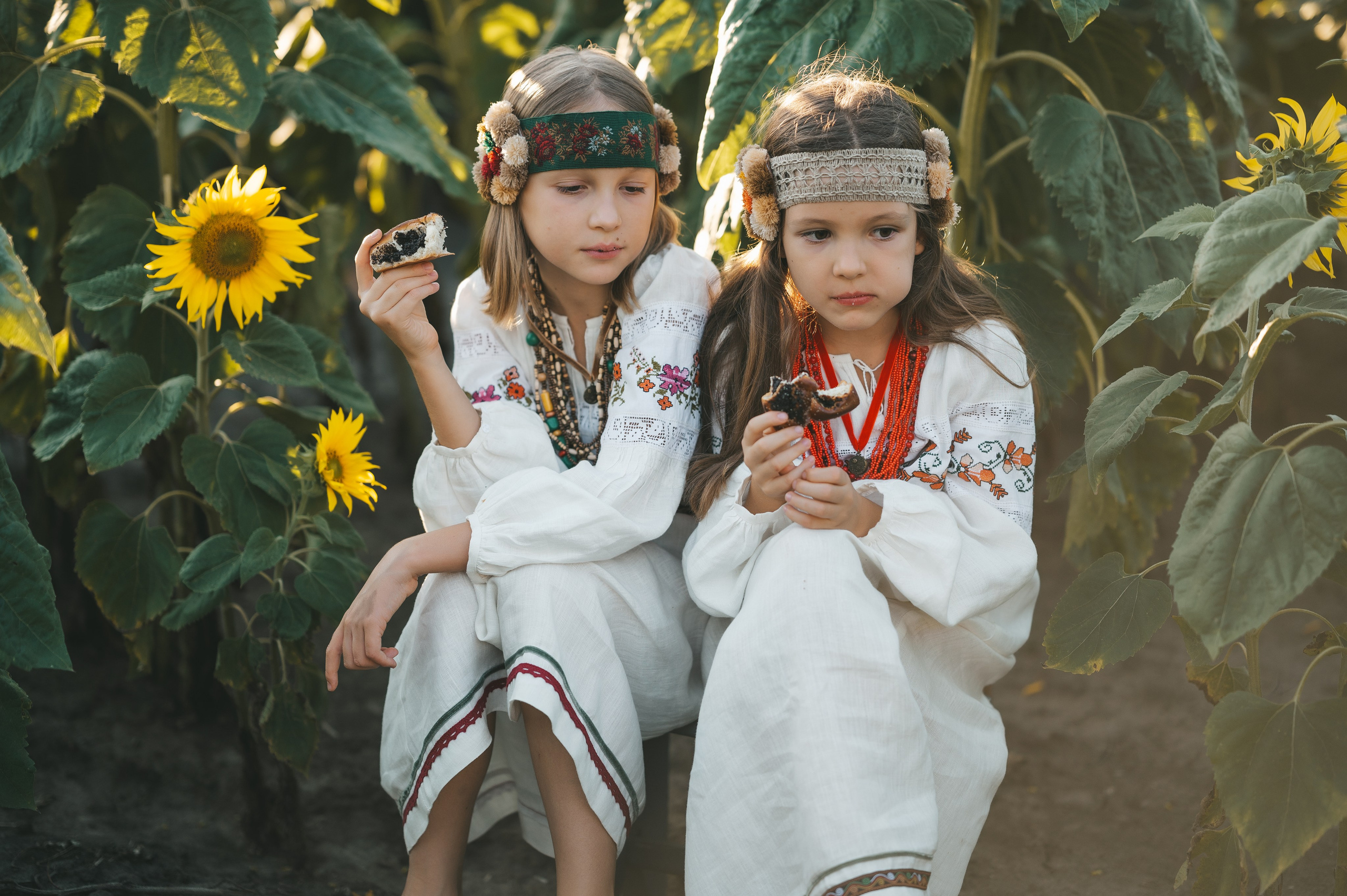 Sunflower field. Татьяна Малышева — семейный фотограф и видеограф в Валенсии, Испания