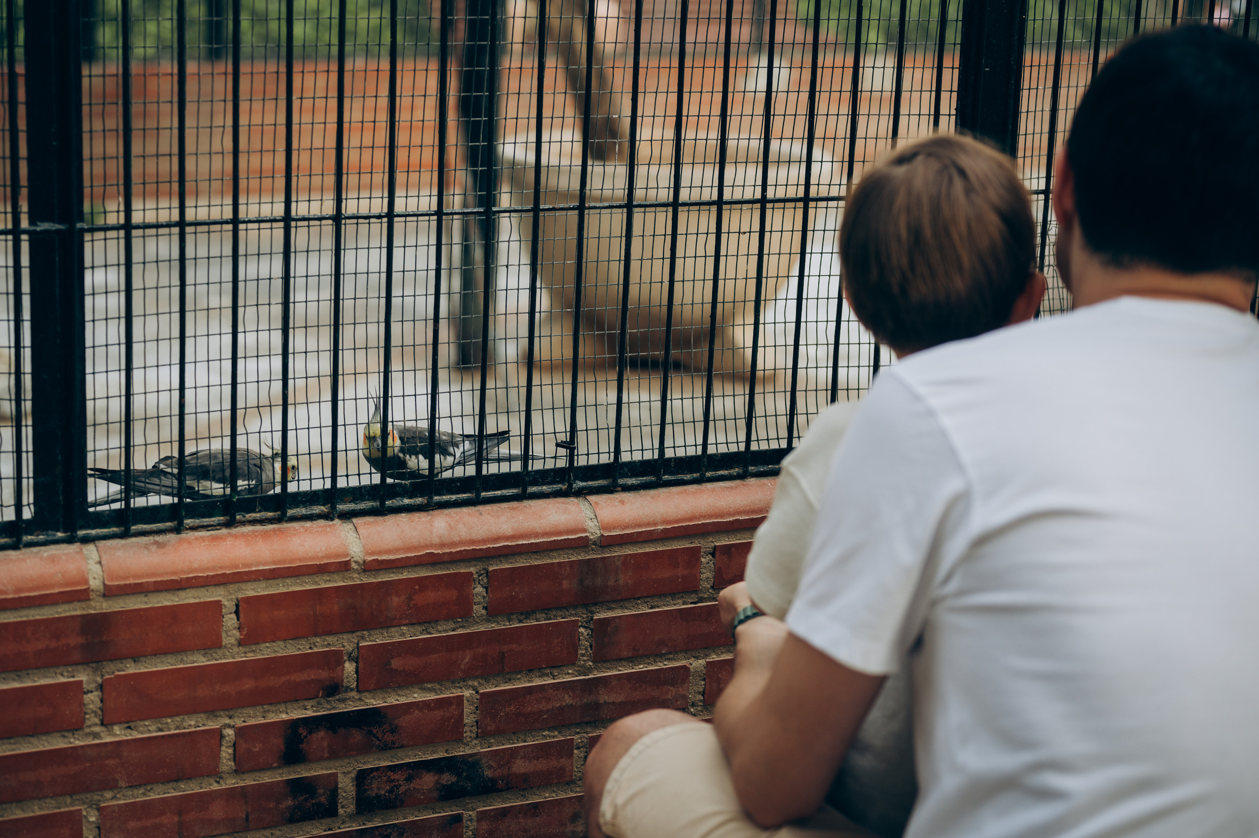 Ivan, Marina, Liza & Tima. Тетяна Малишева - сімейний фотограф і відеограф у Валенсії, Іспанія