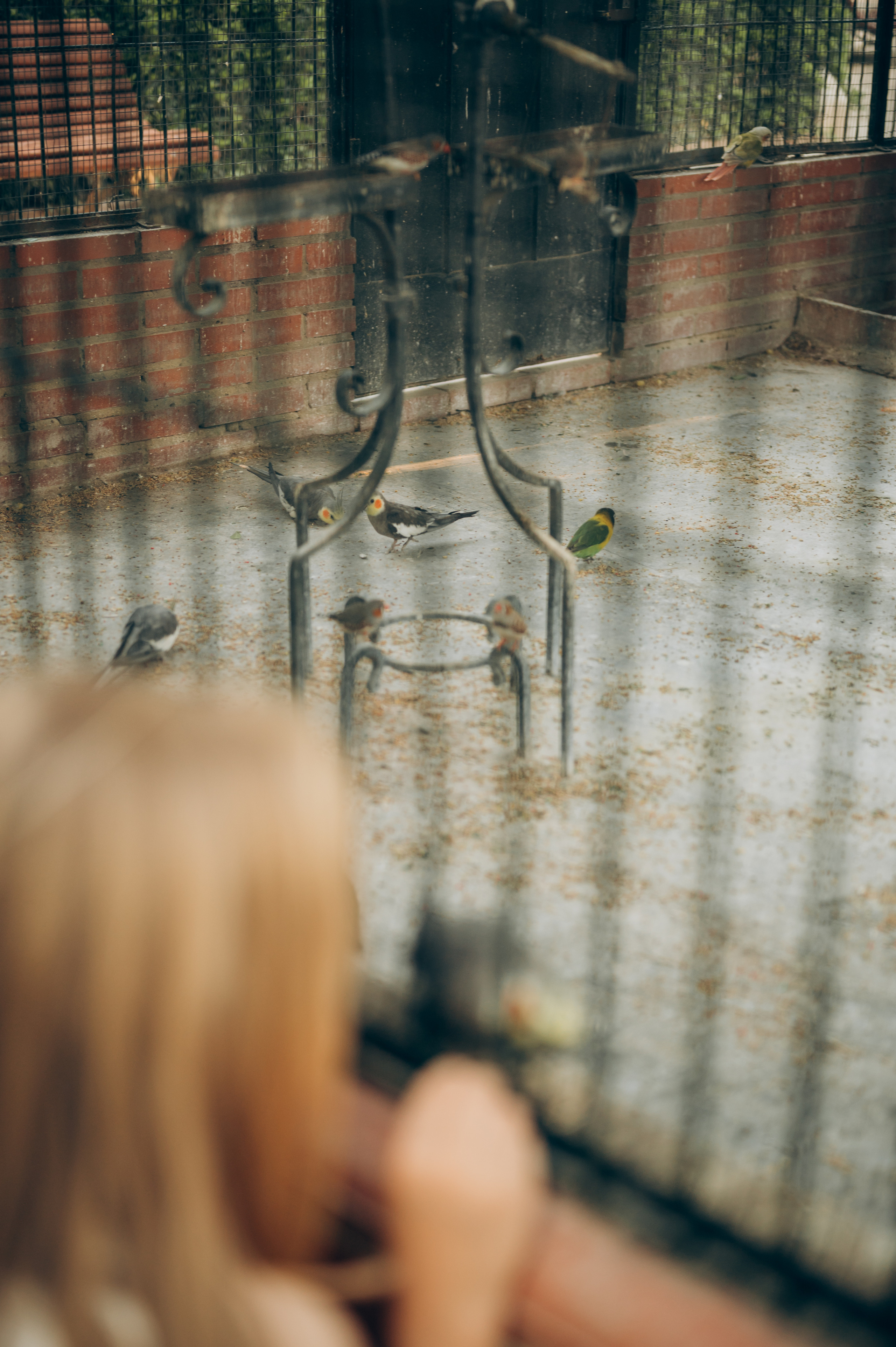 Ivan, Marina, Liza & Tima. Тетяна Малишева - сімейний фотограф і відеограф у Валенсії, Іспанія