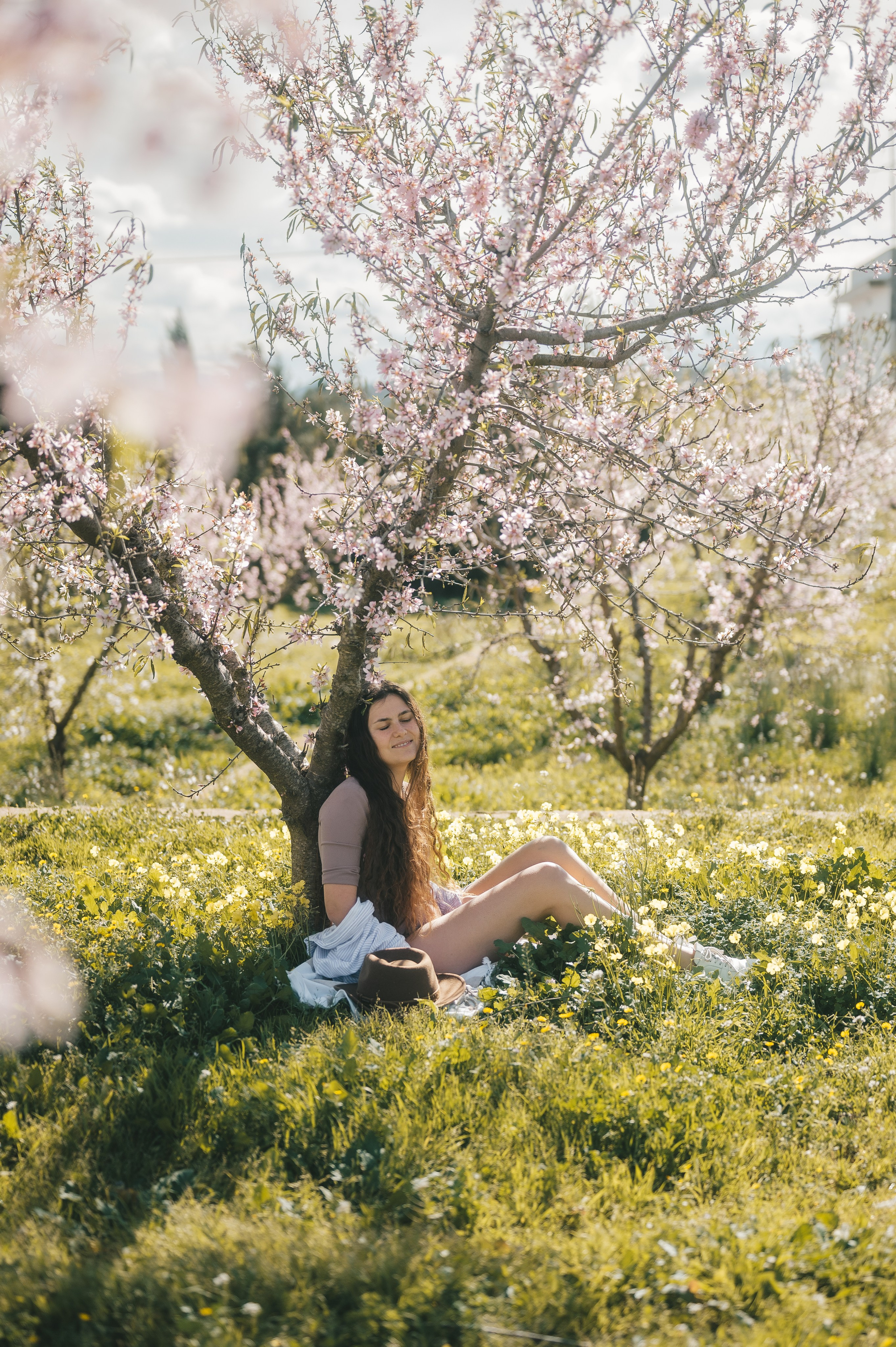 Almond blossom. Тетяна Малишева - сімейний фотограф і відеограф у Валенсії, Іспанія