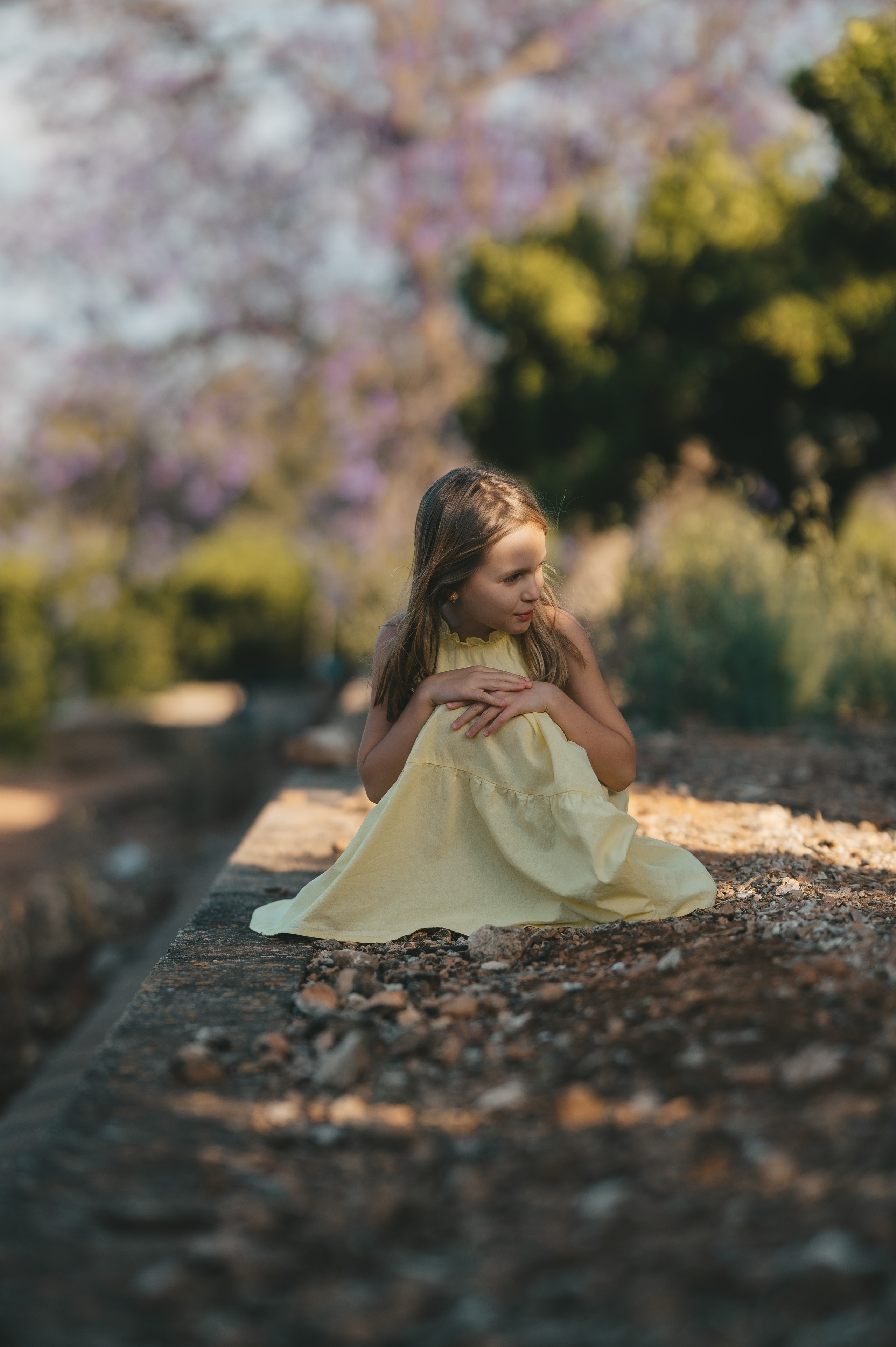 Jacaranda flowers. Tatiana Malysheva — family photographer and videographer in Valencia, Spain