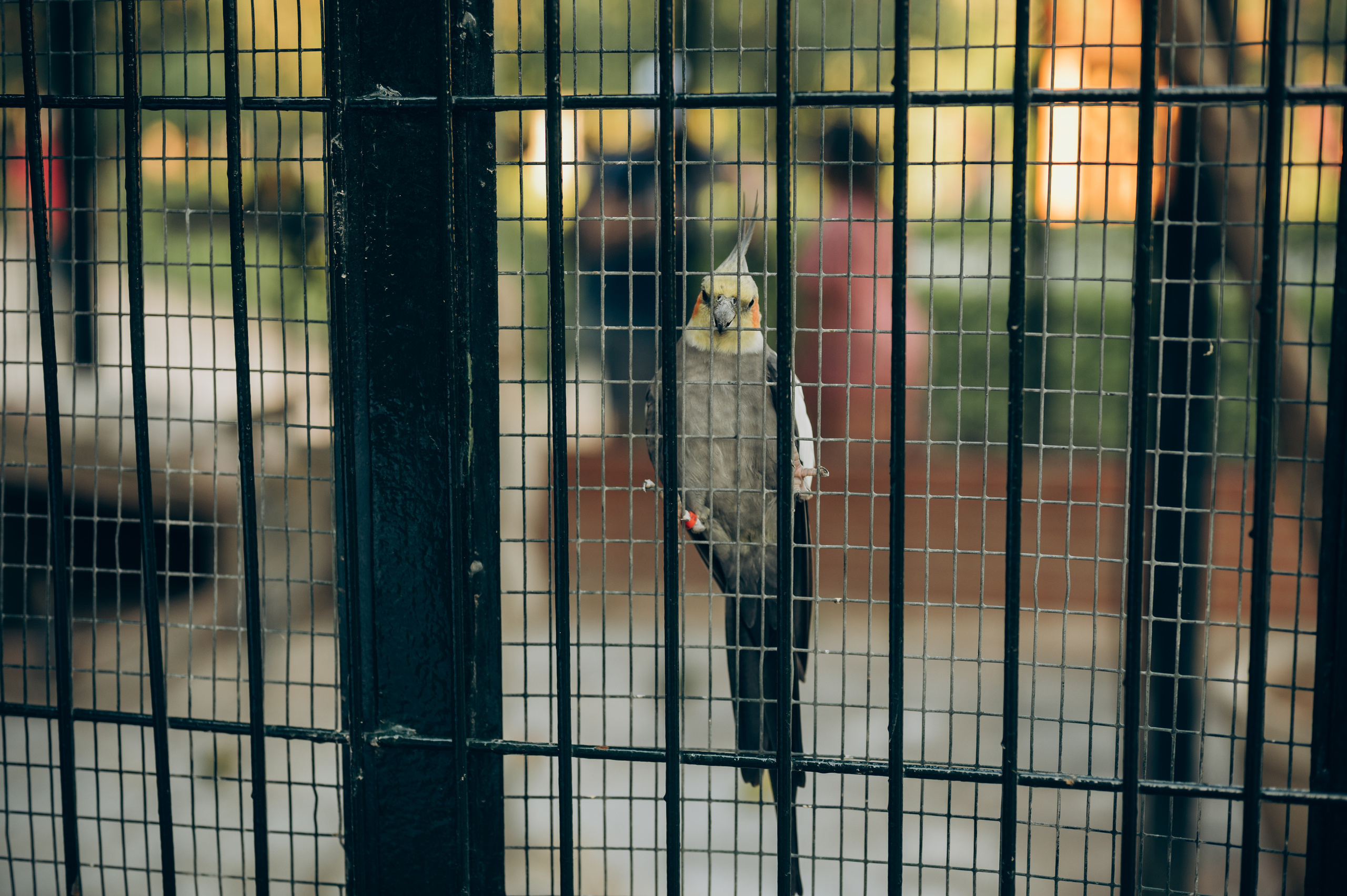 Ivan, Marina, Liza & Tima. Тетяна Малишева - сімейний фотограф і відеограф у Валенсії, Іспанія
