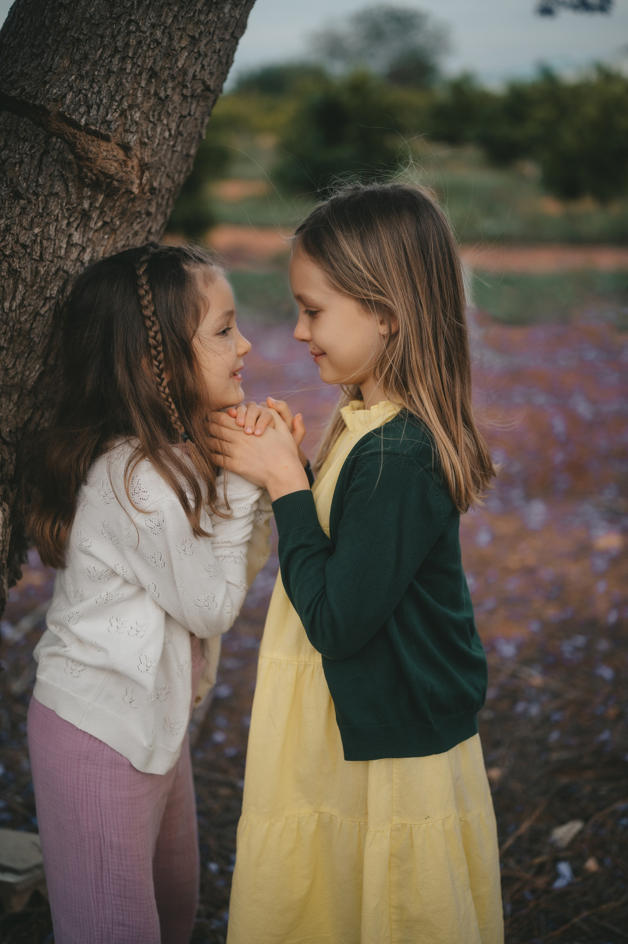 Jacaranda flowers. Tatiana Malysheva — family photographer and videographer in Valencia, Spain