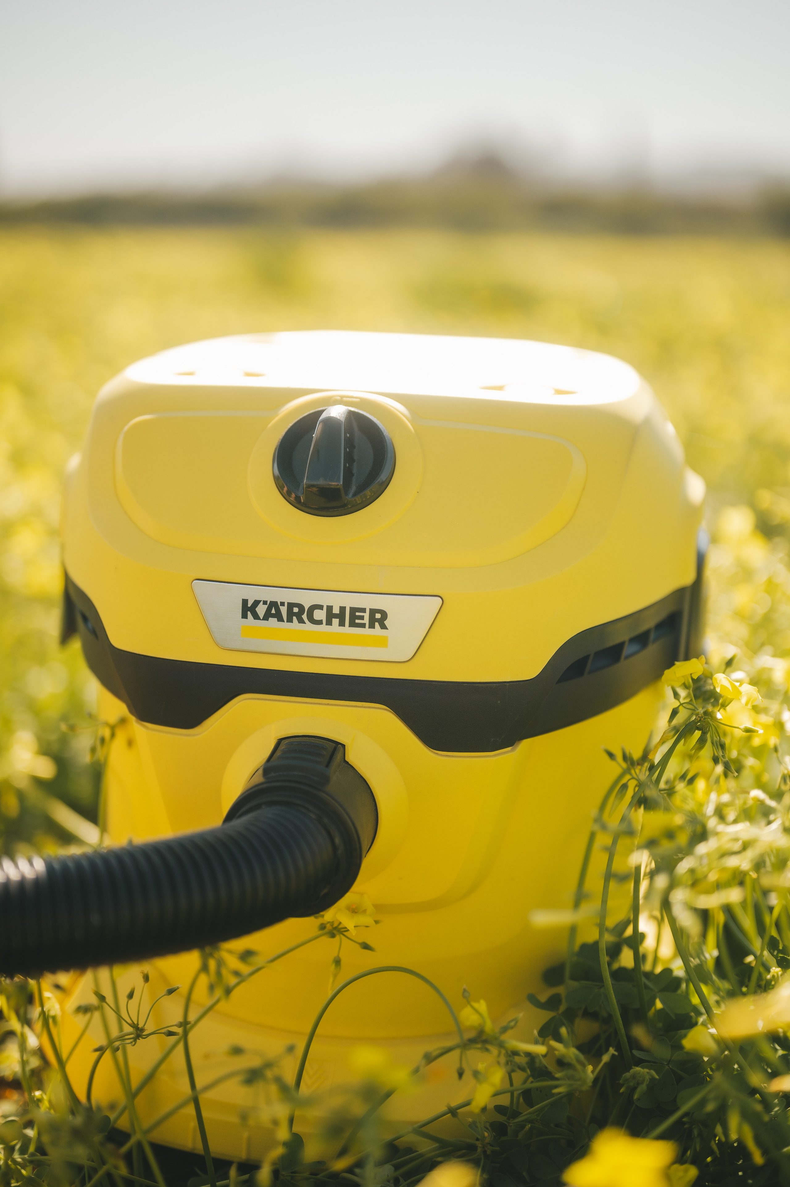 Sunshine Catcher. Tatiana Malysheva — lifestyle fotógrafa y videógrafa en Valencia, España